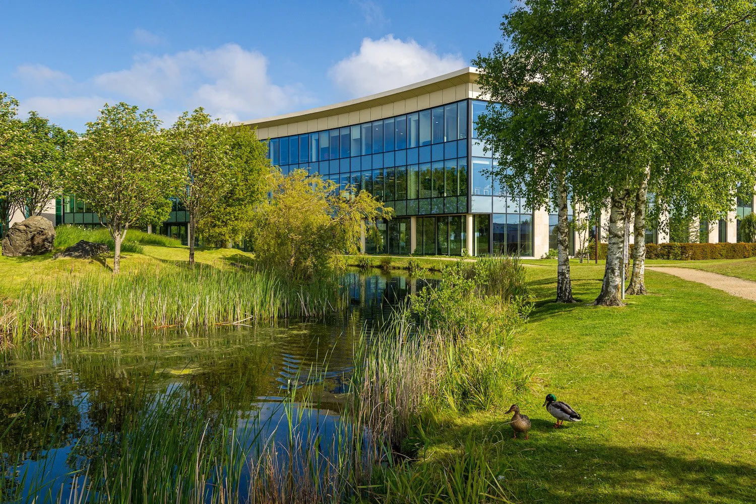 Lake Drive_Citywest_Design by JSA Architects.jpg