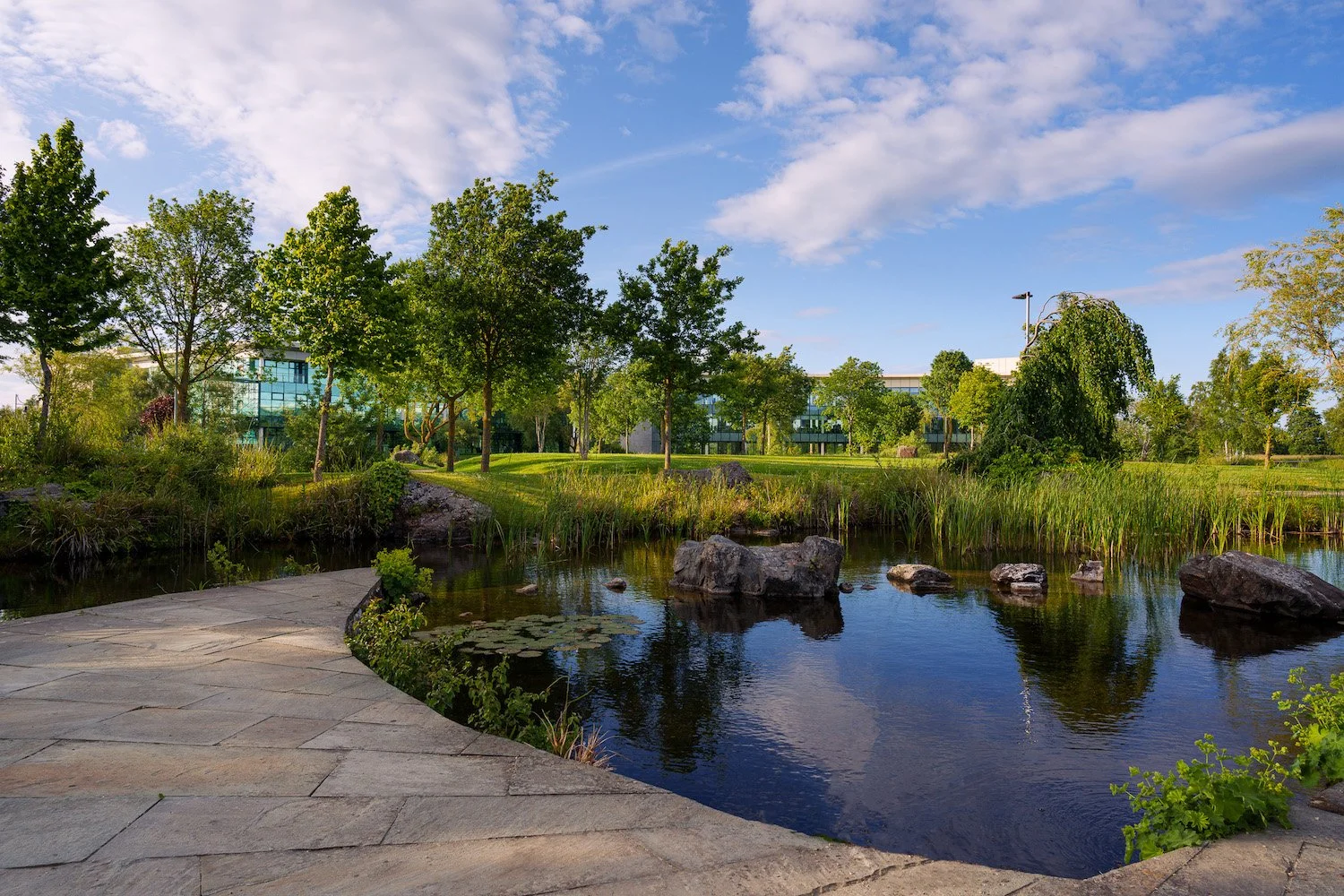 Citywest Lake.jpg