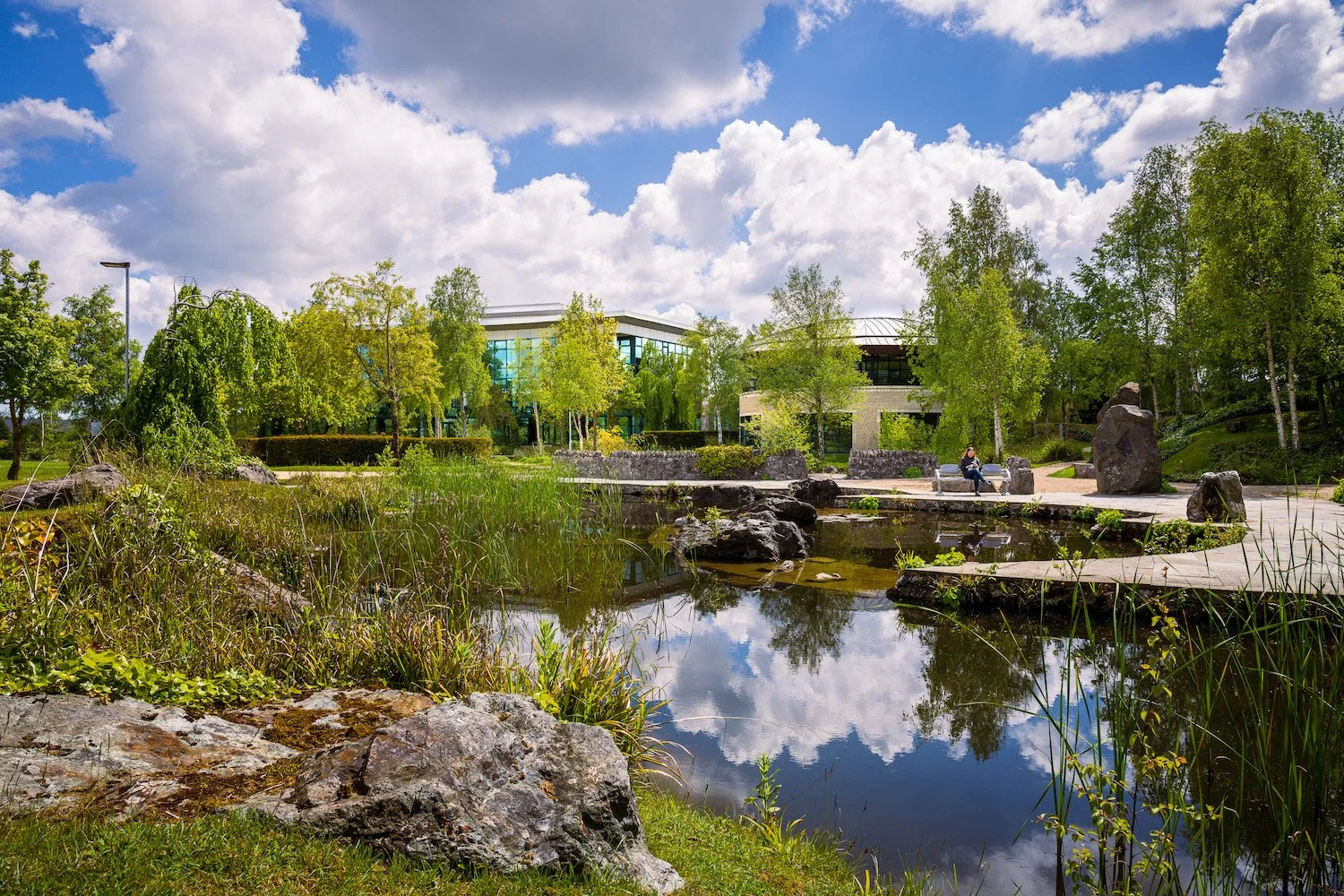 Lake Drive_Design by JSA Architects Blackrock.jpg
