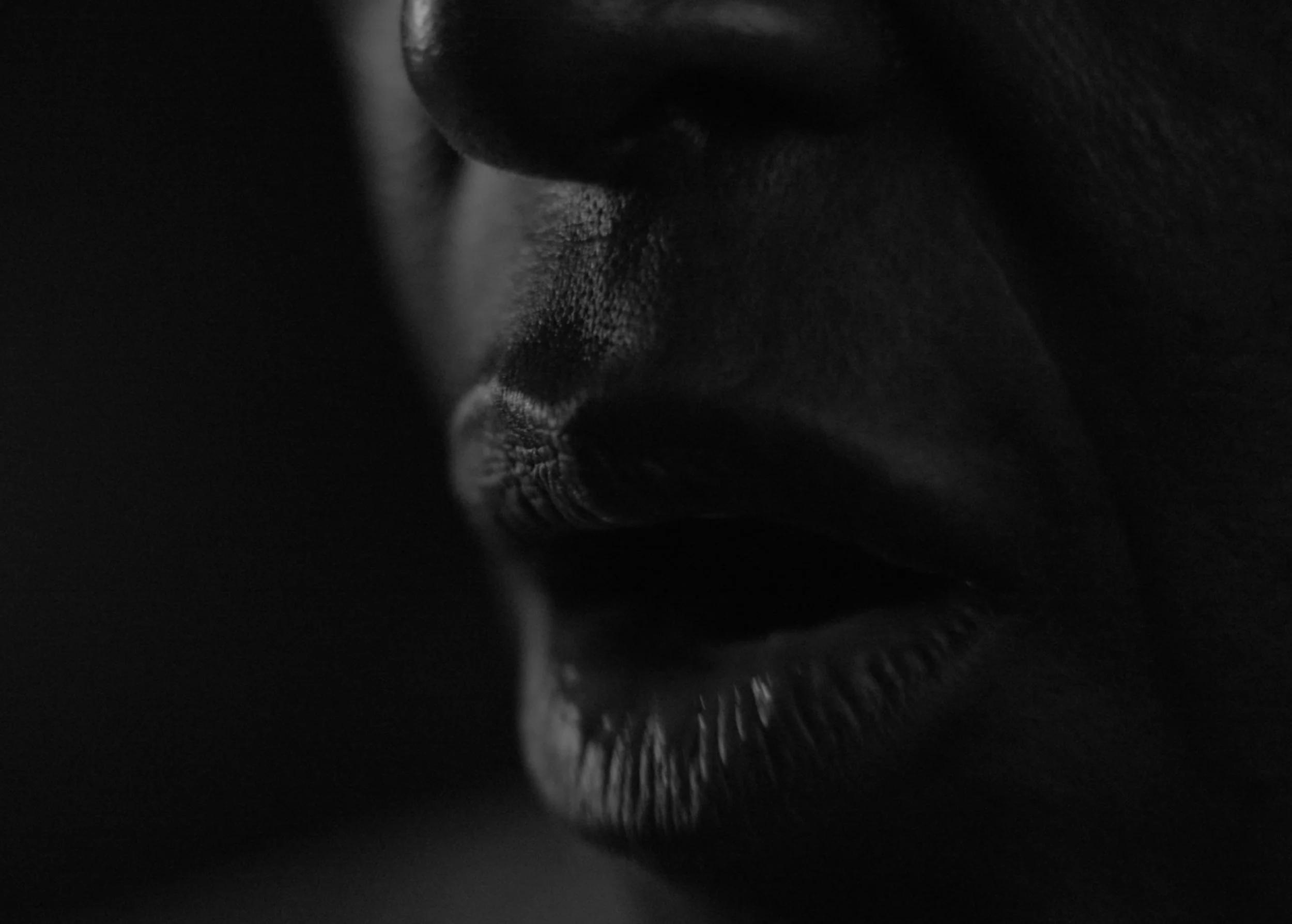 Close-up of a person's face, with focus on the nose and lips, in black and white.