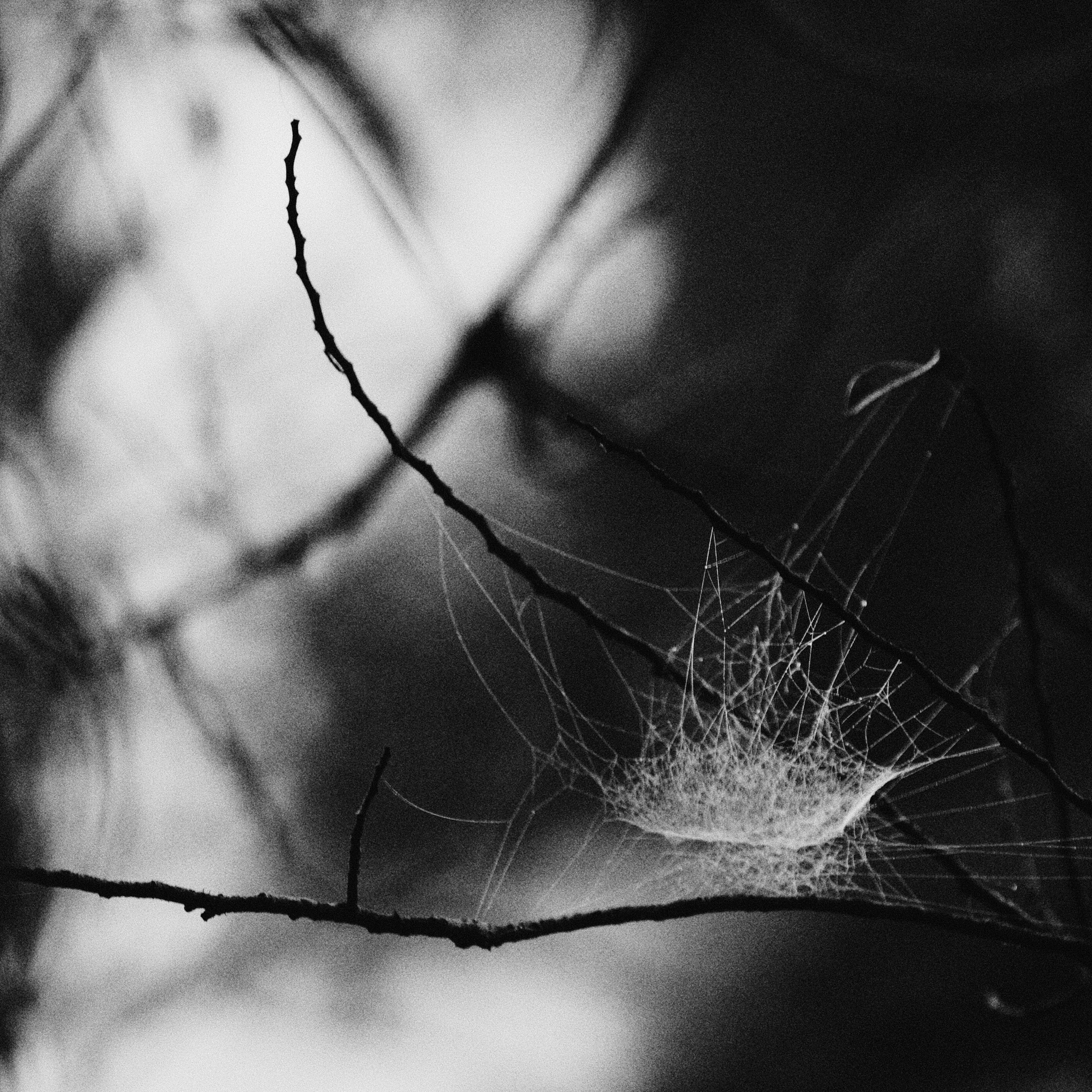 web III.jpg