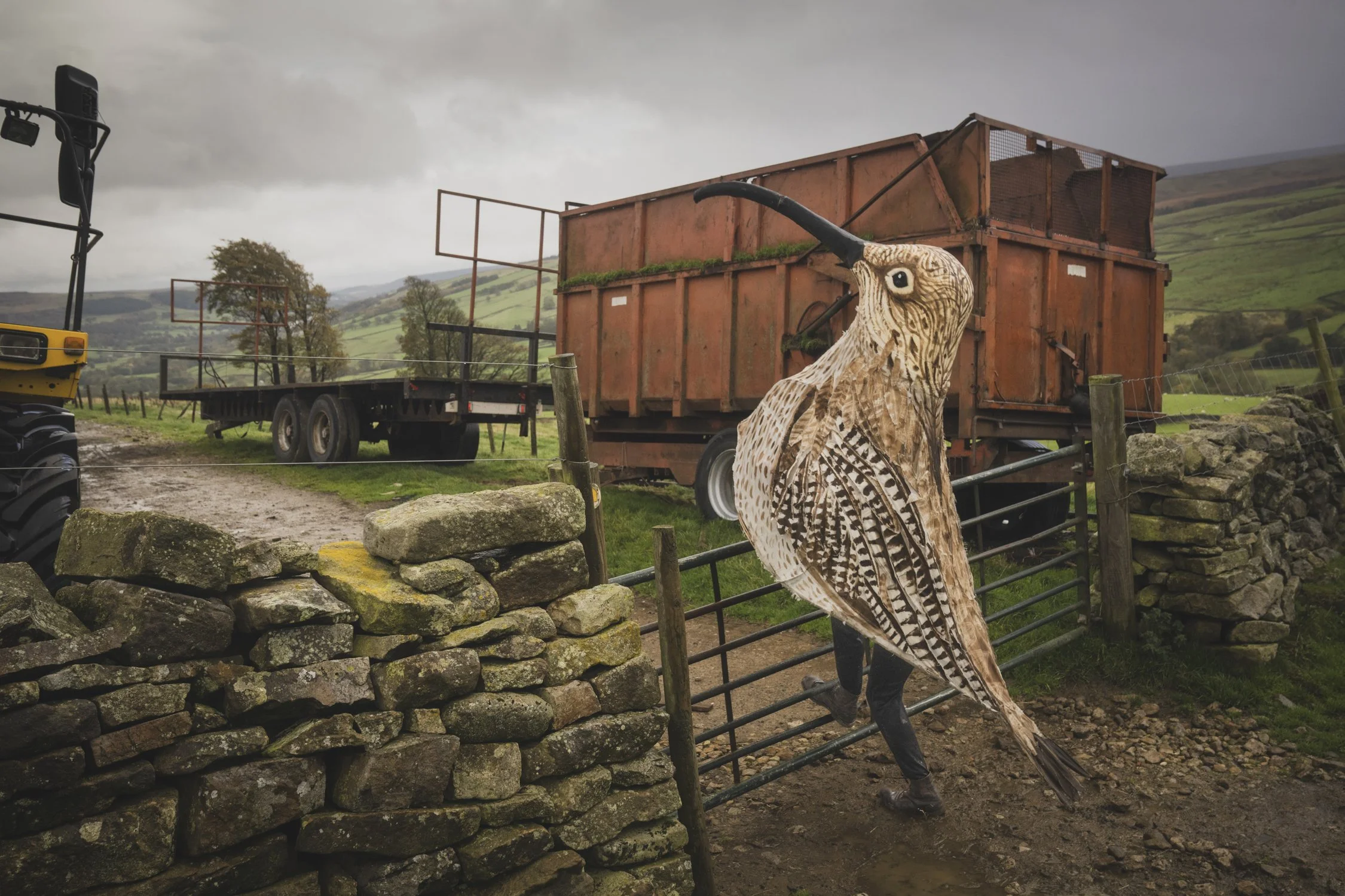 morgan_heim_Curlew Man-0139.jpg