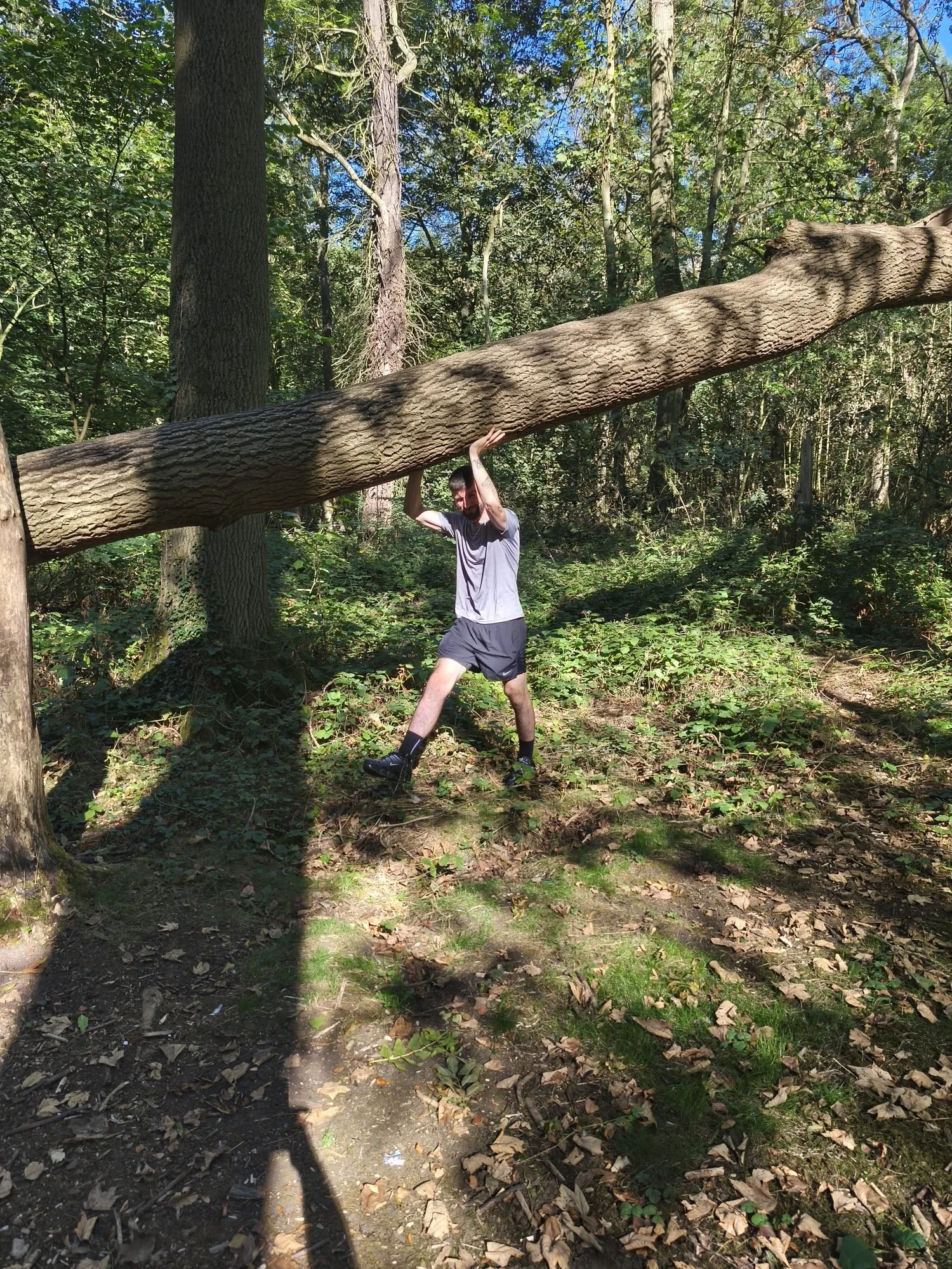 A walker hanging from a fallen tree for a bit of fun on the Recovery Walk