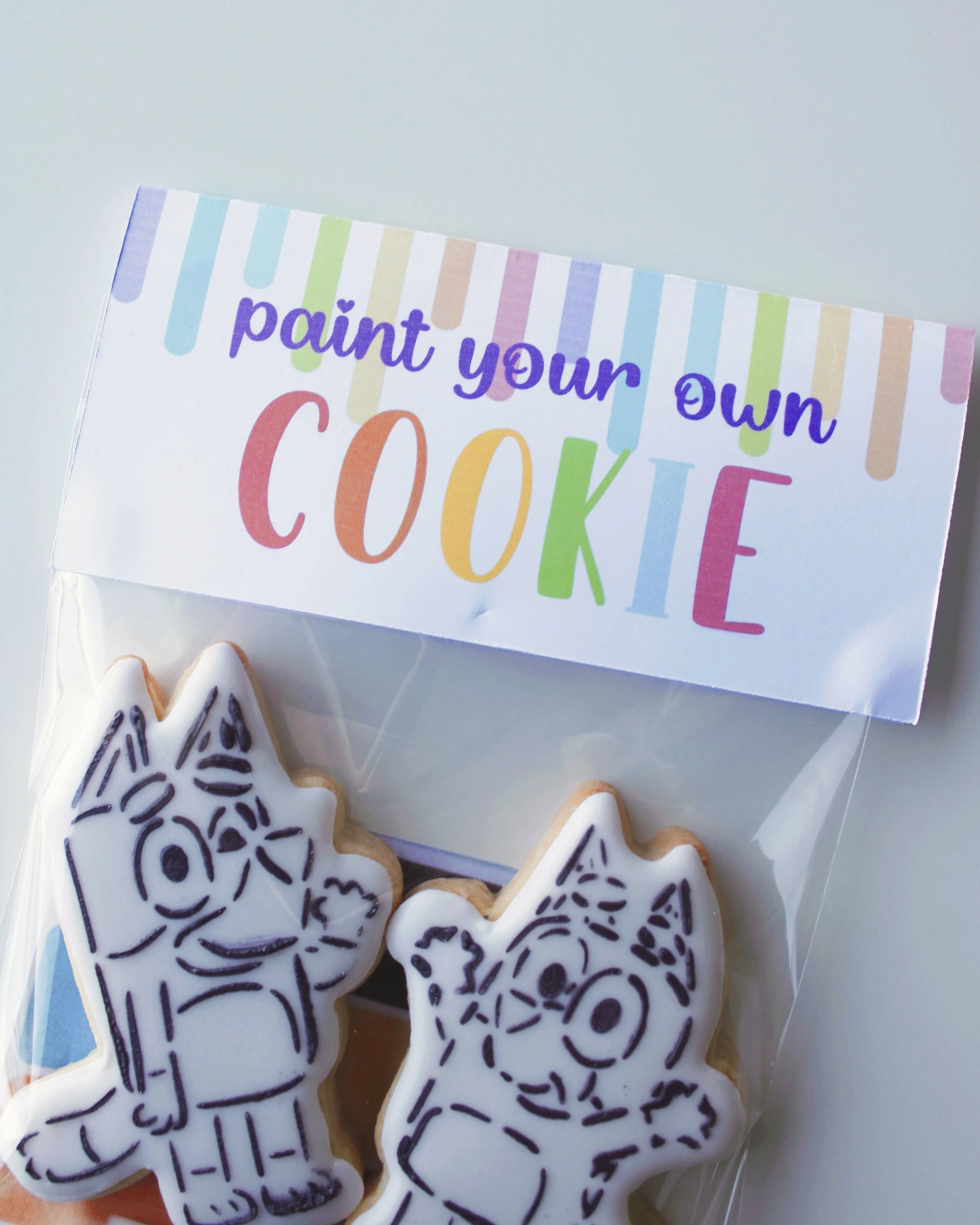 Paint your own cookie pack featuring Bluey and Bingo cookies, white icing designs with black stencilled outlines, and a rainbow “Paint Your Own” bag topper.