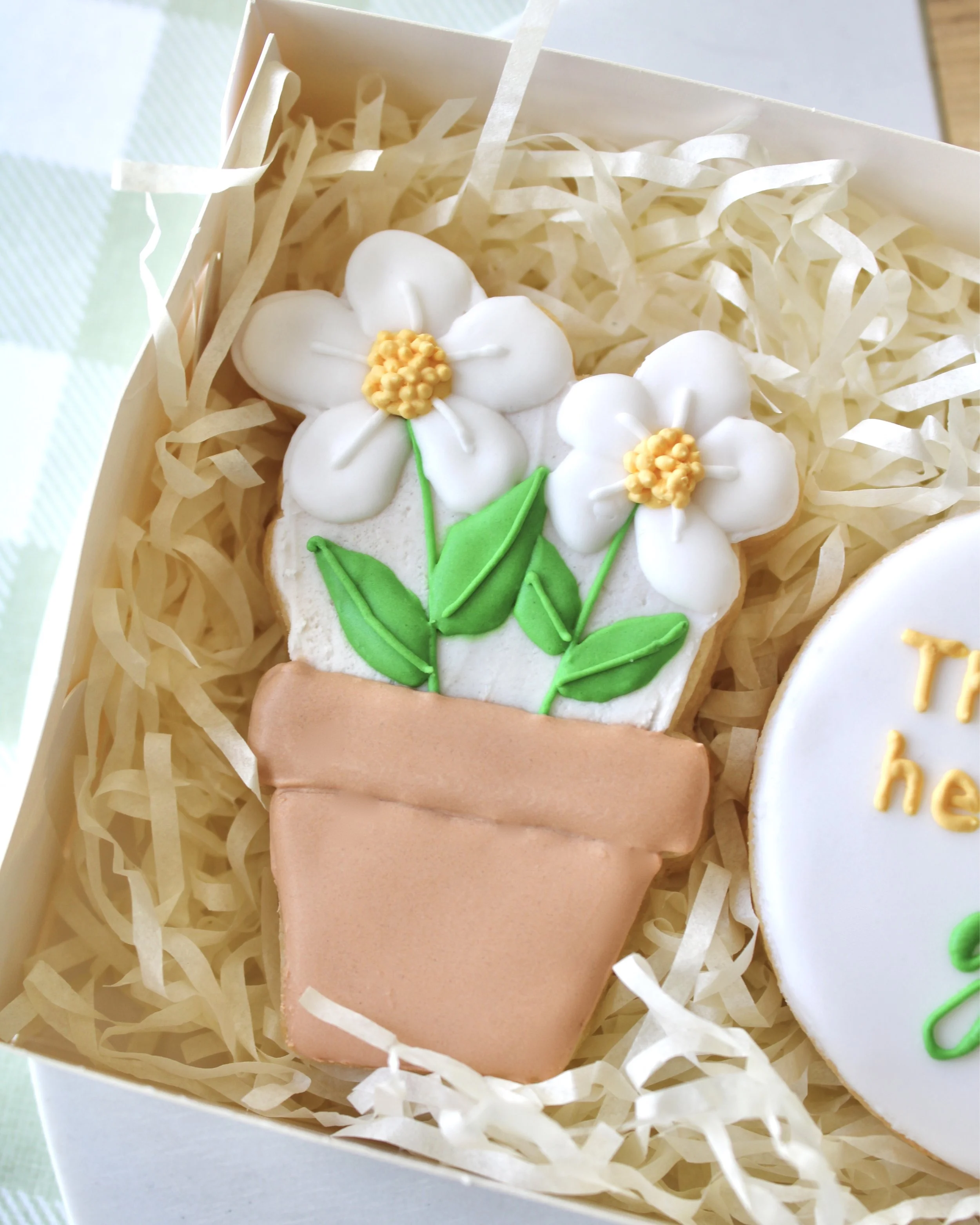 Close-up of a terracotta pot cookie decorated with white daisies, green leaves, and yellow flower centres.