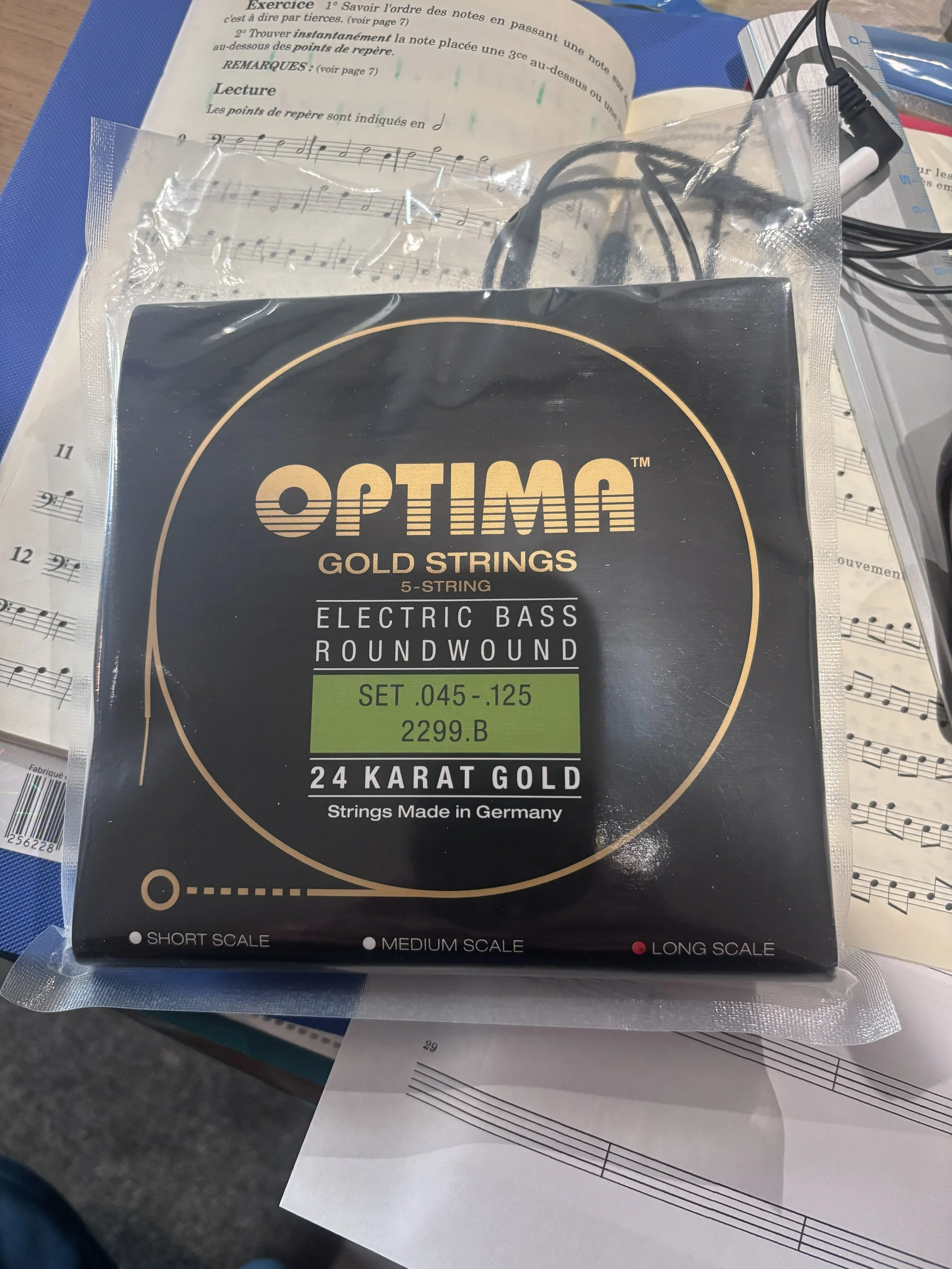 IMG_7983optima.jpg