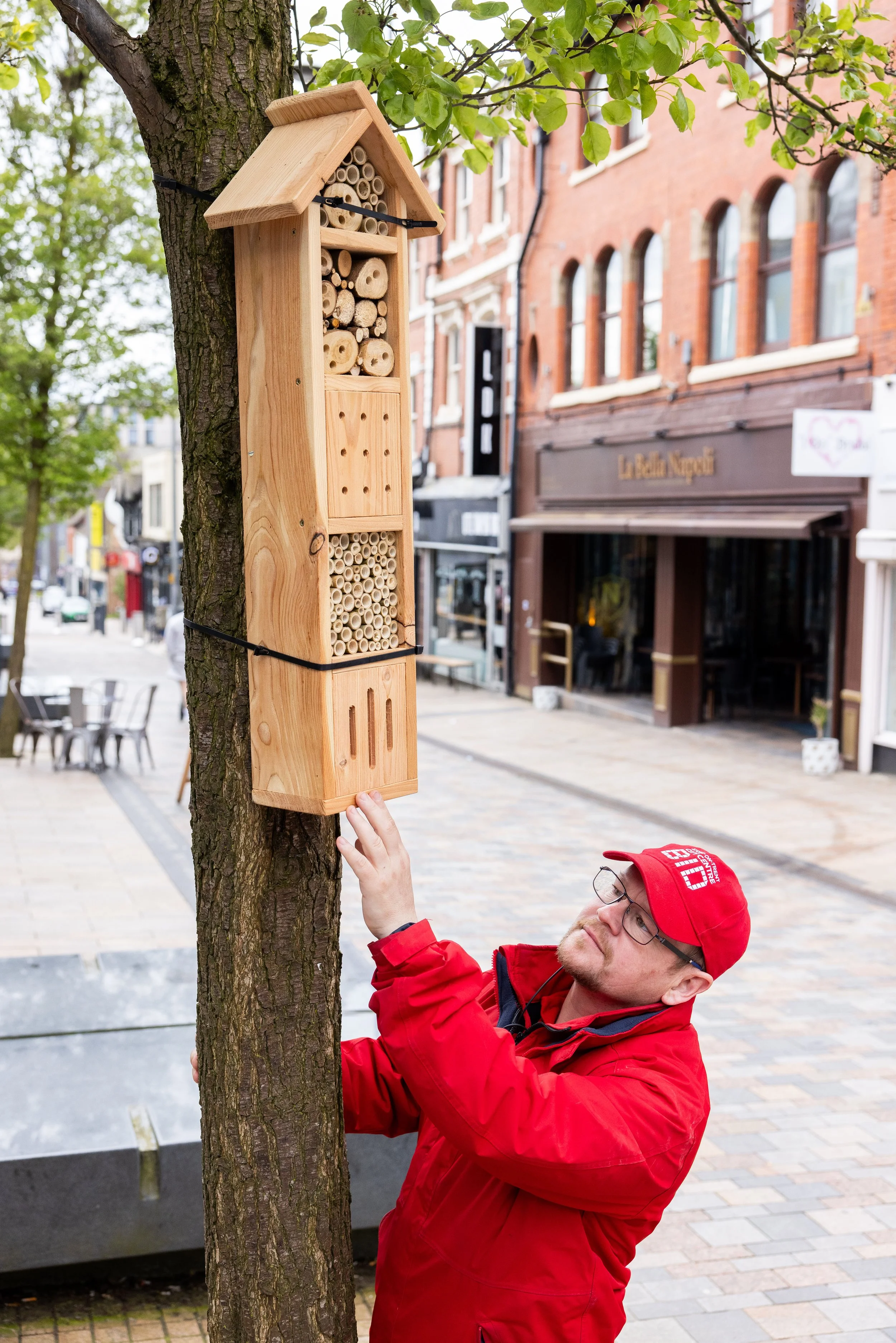 A man wearing a red jacket and red cap, with glasses, is attaching a wooden insect hotel to a tree in an urban area, with buildings and outdoor seating in the background.