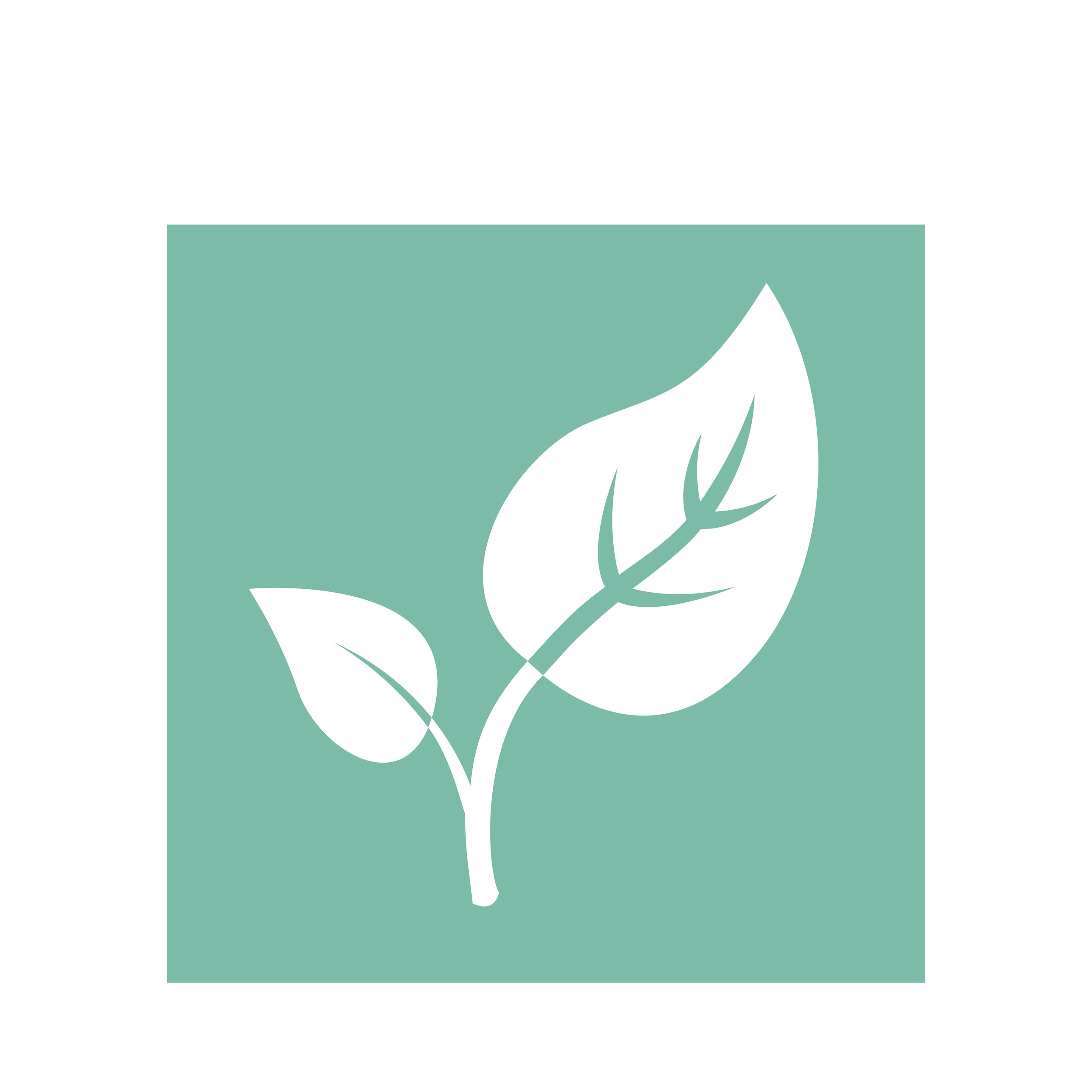 A minimalist illustration of a white flower with green leaves on a teal background.