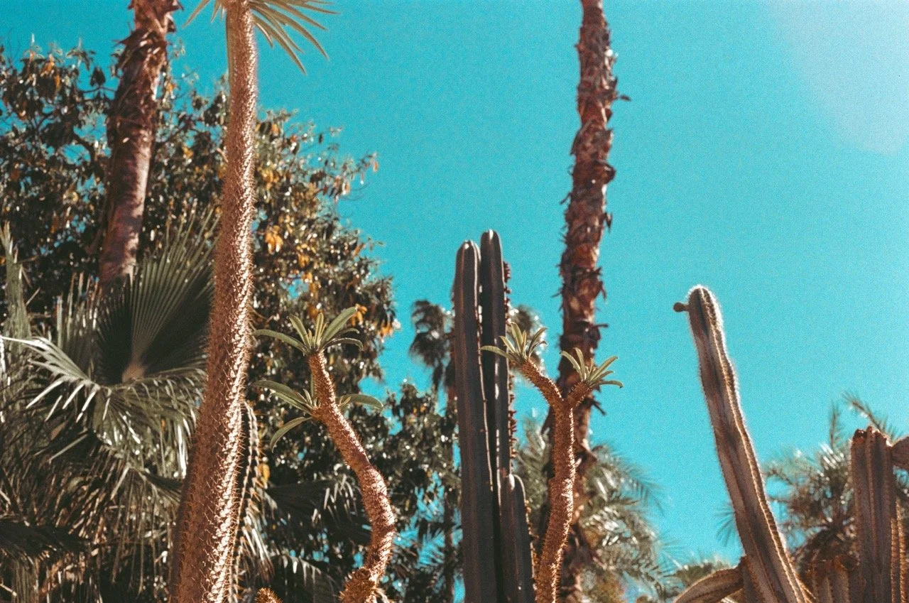 000038920005 Large.jpeg