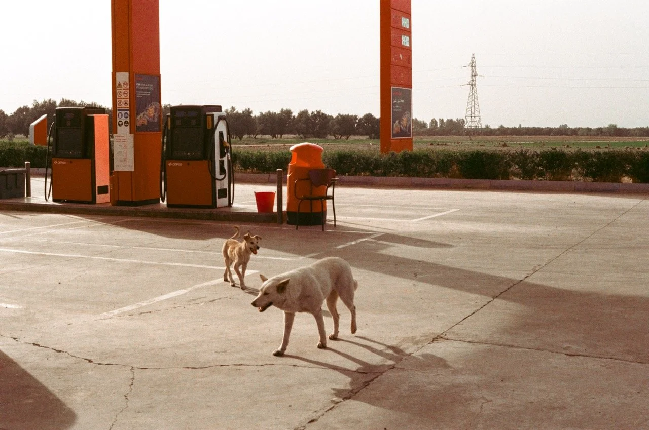 000038920011 Large.jpeg