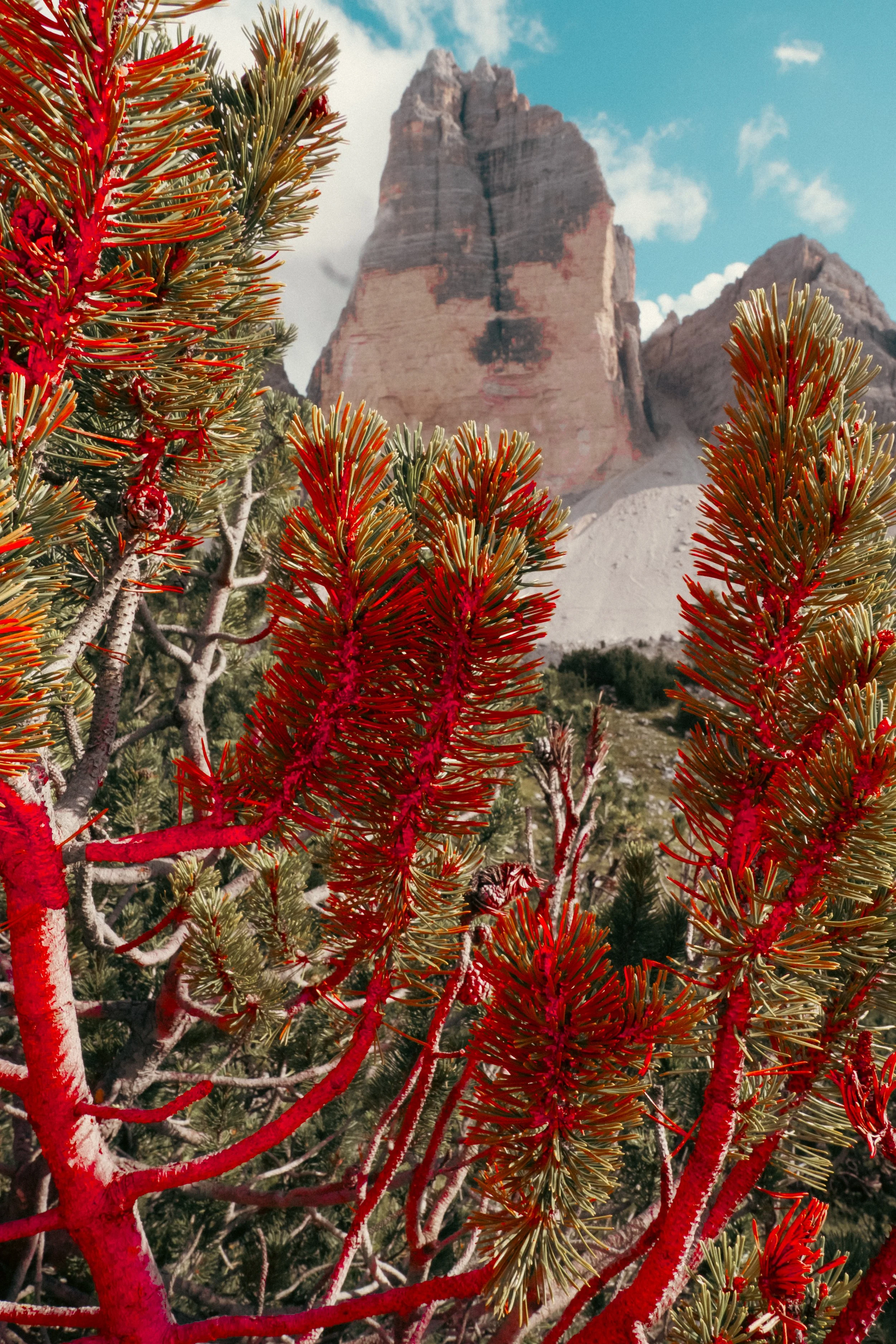 Dolomites-91.jpg