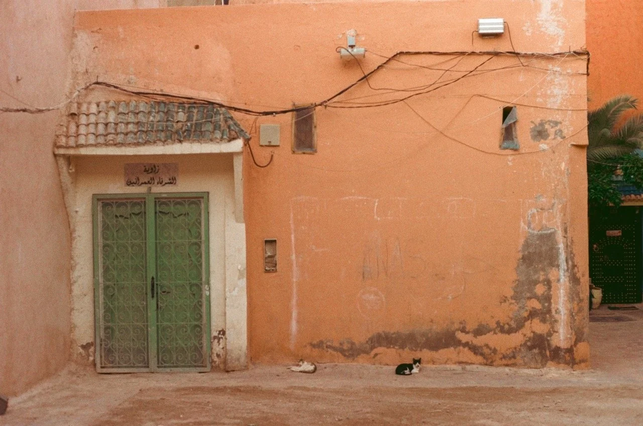 000038920009 Large.jpeg