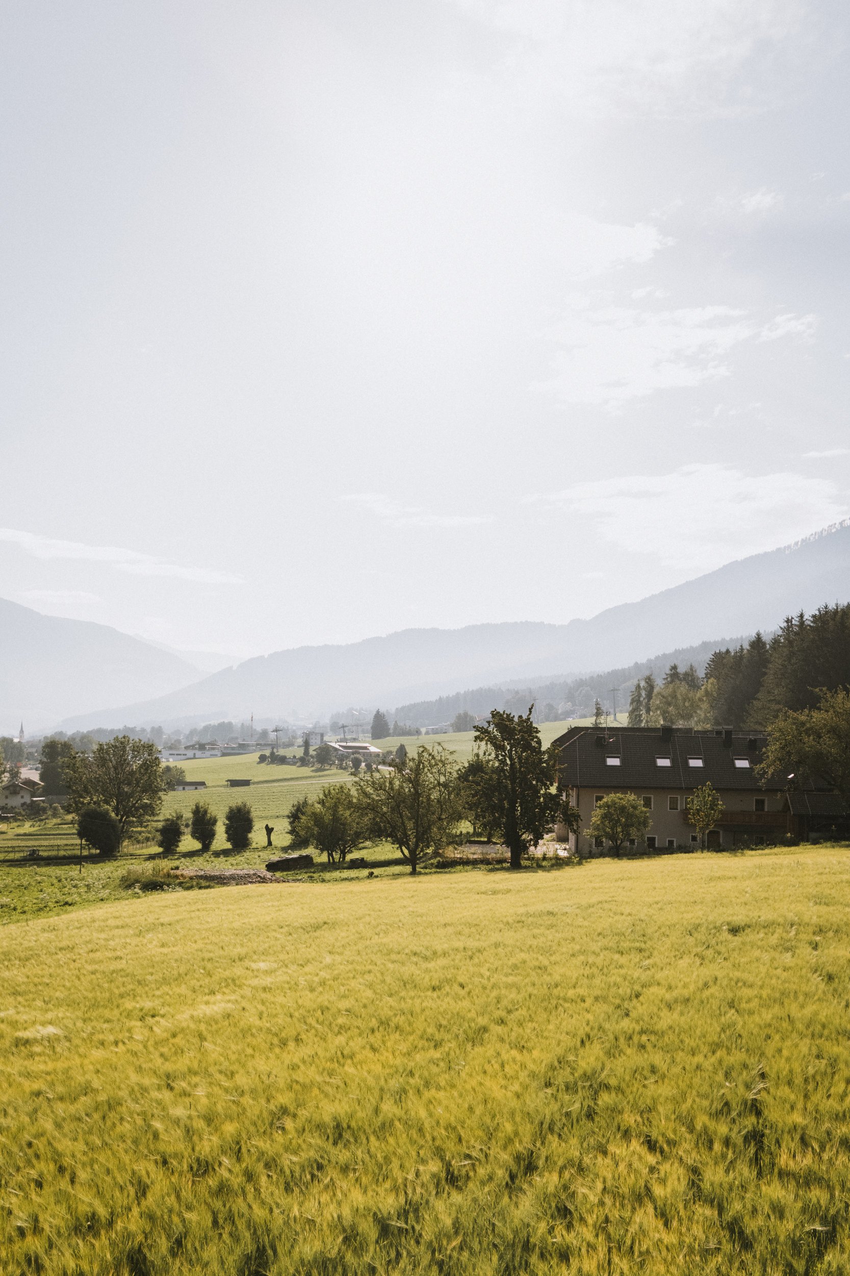 019_2026-06-24_Treyerhof(C)lunah-photoDJI_20260624080546_0384_D.jpg