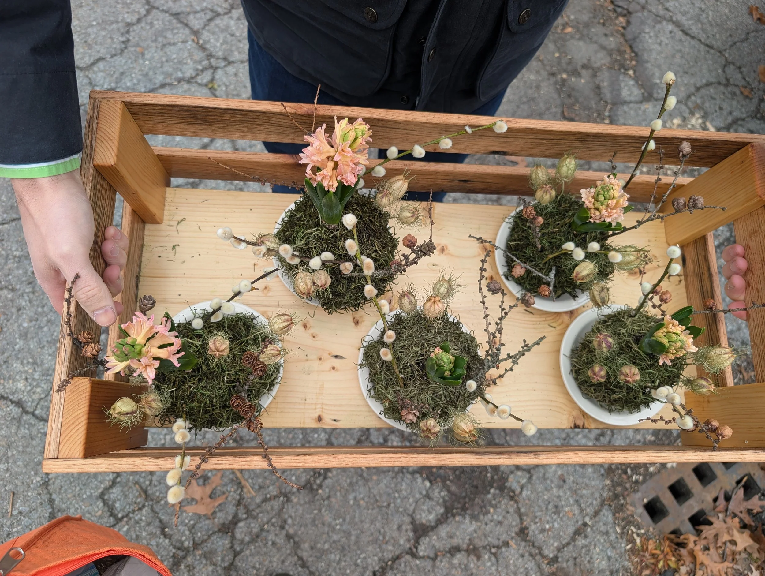 Kokedama