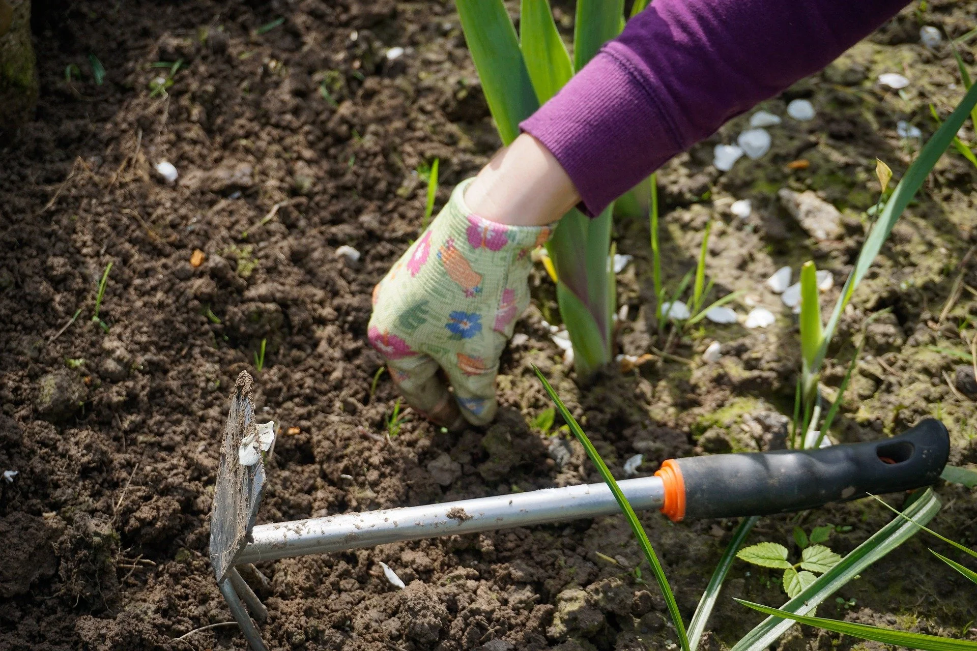 Early Spring Gardening Checklist