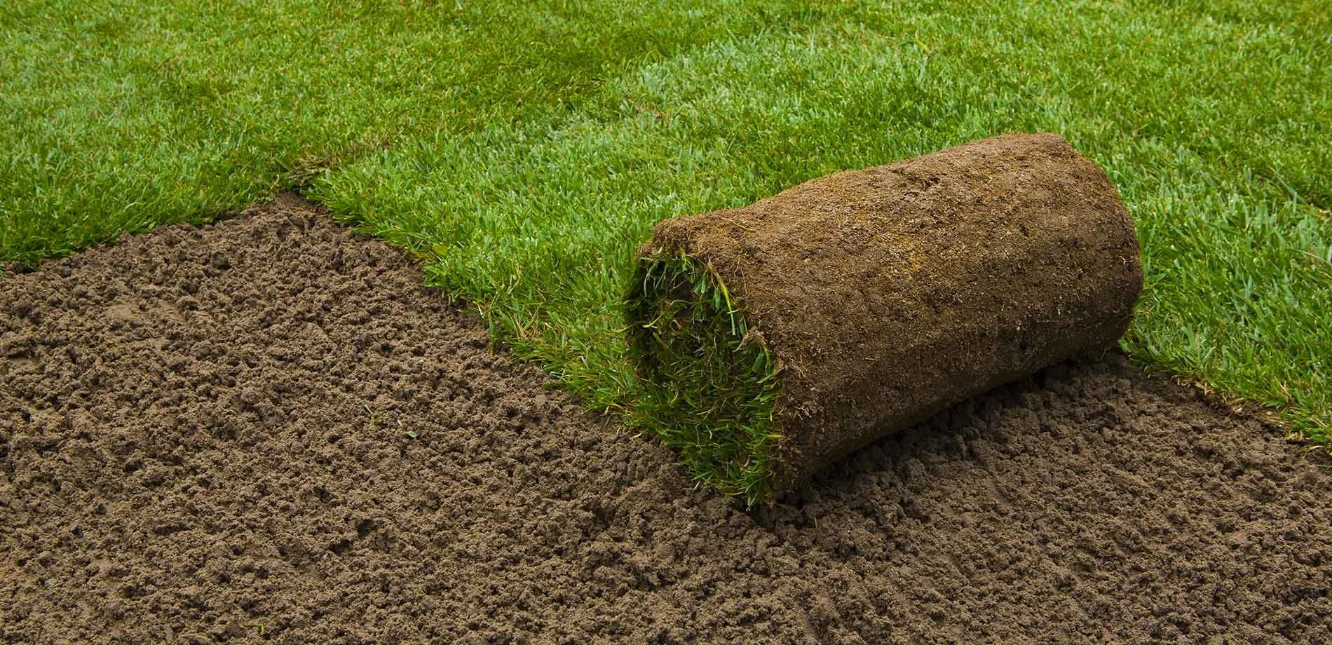 Sod: Here Today, Lawn Tomorrow