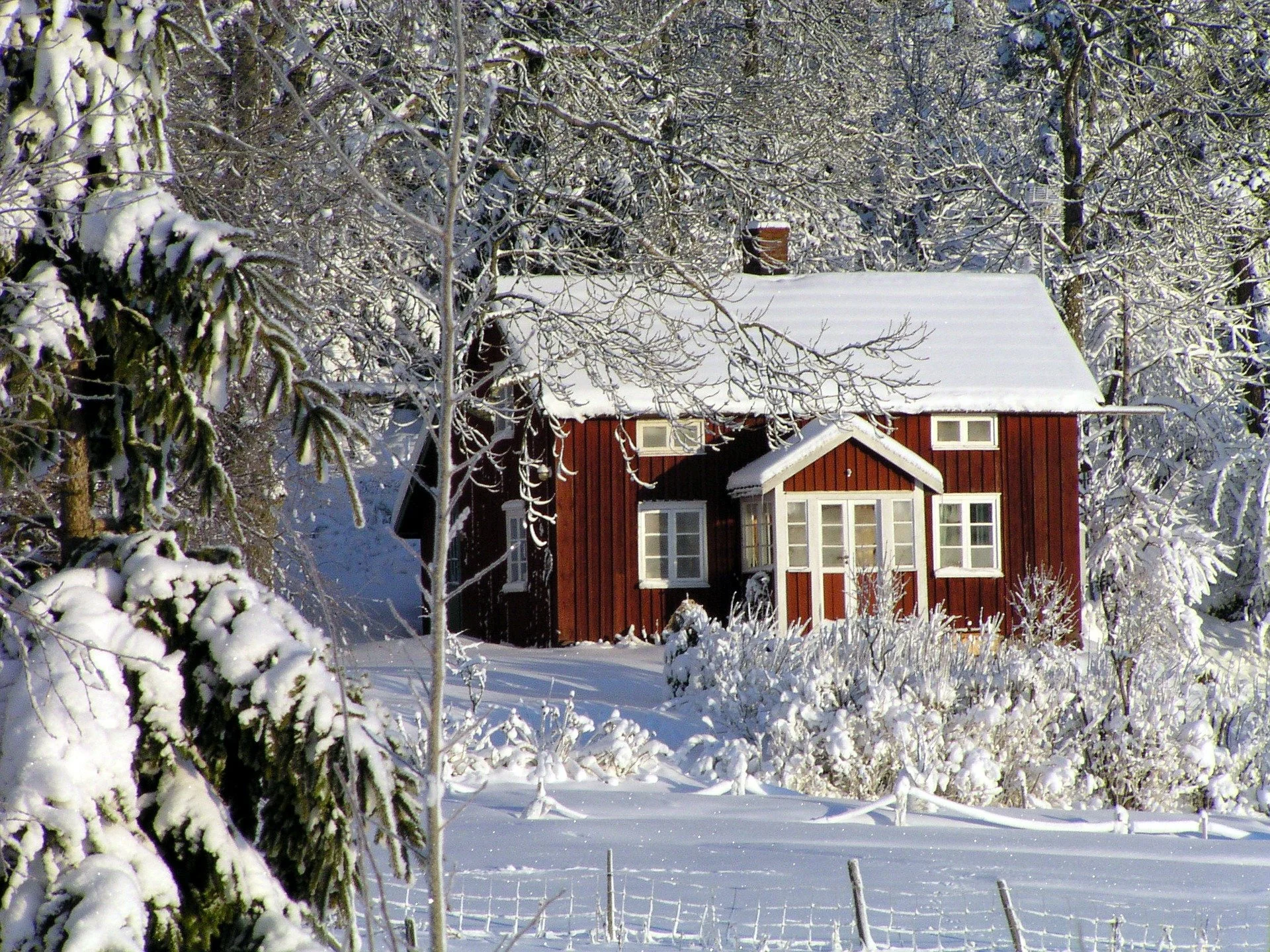 Plan for Summer in Winter