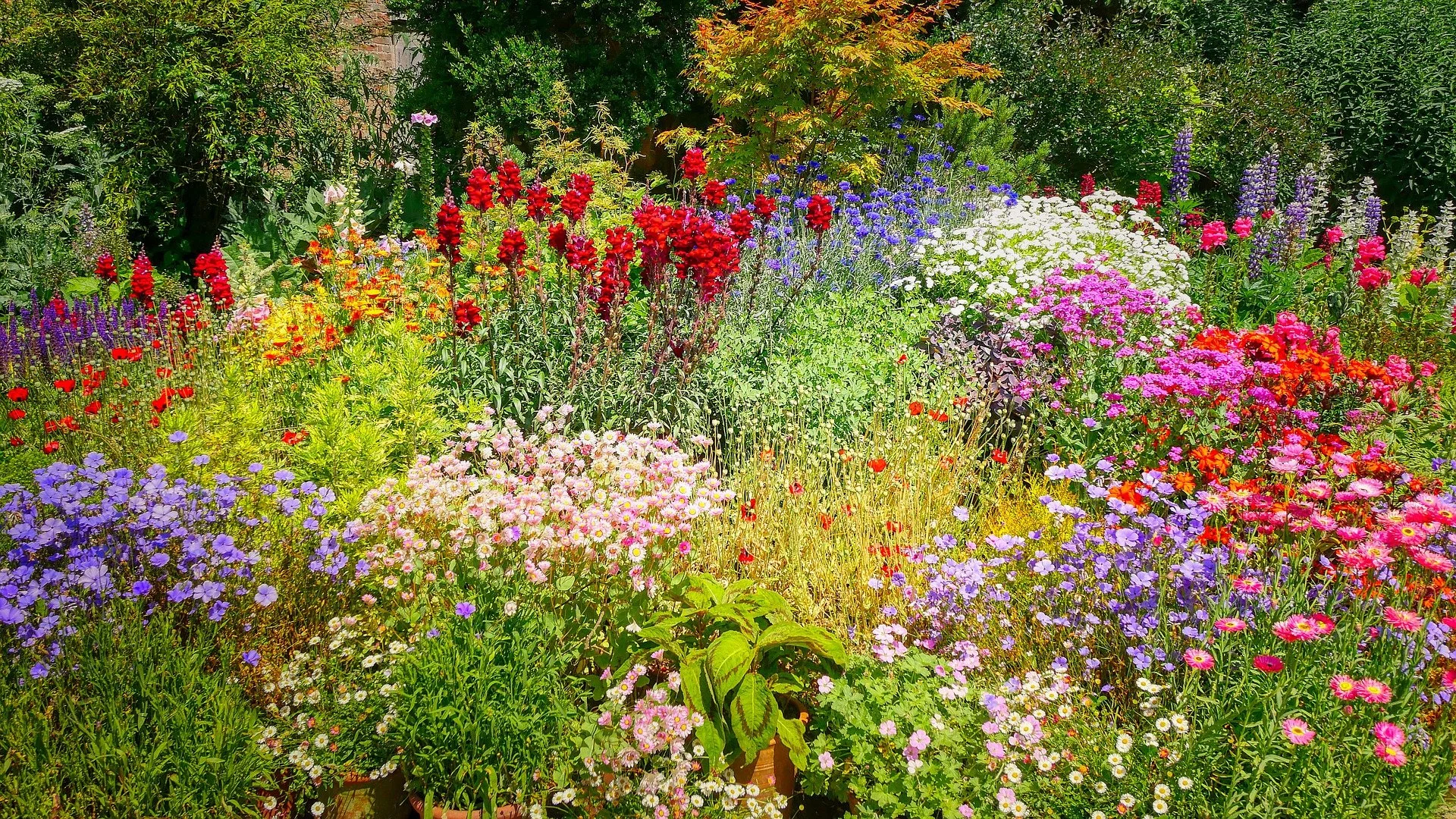 What Color is Your Garden?