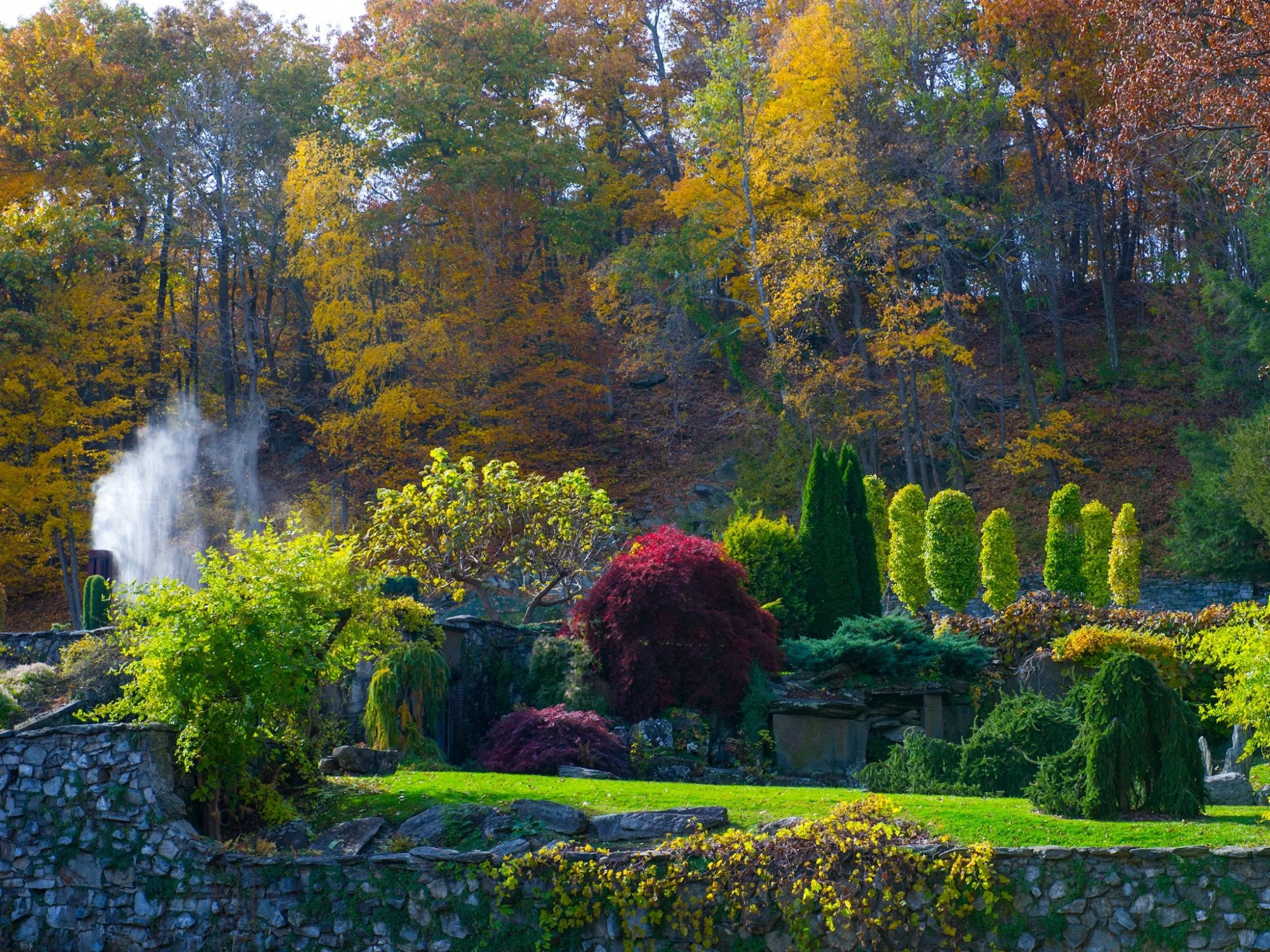 Landscaping Inspiration from Public Gardens