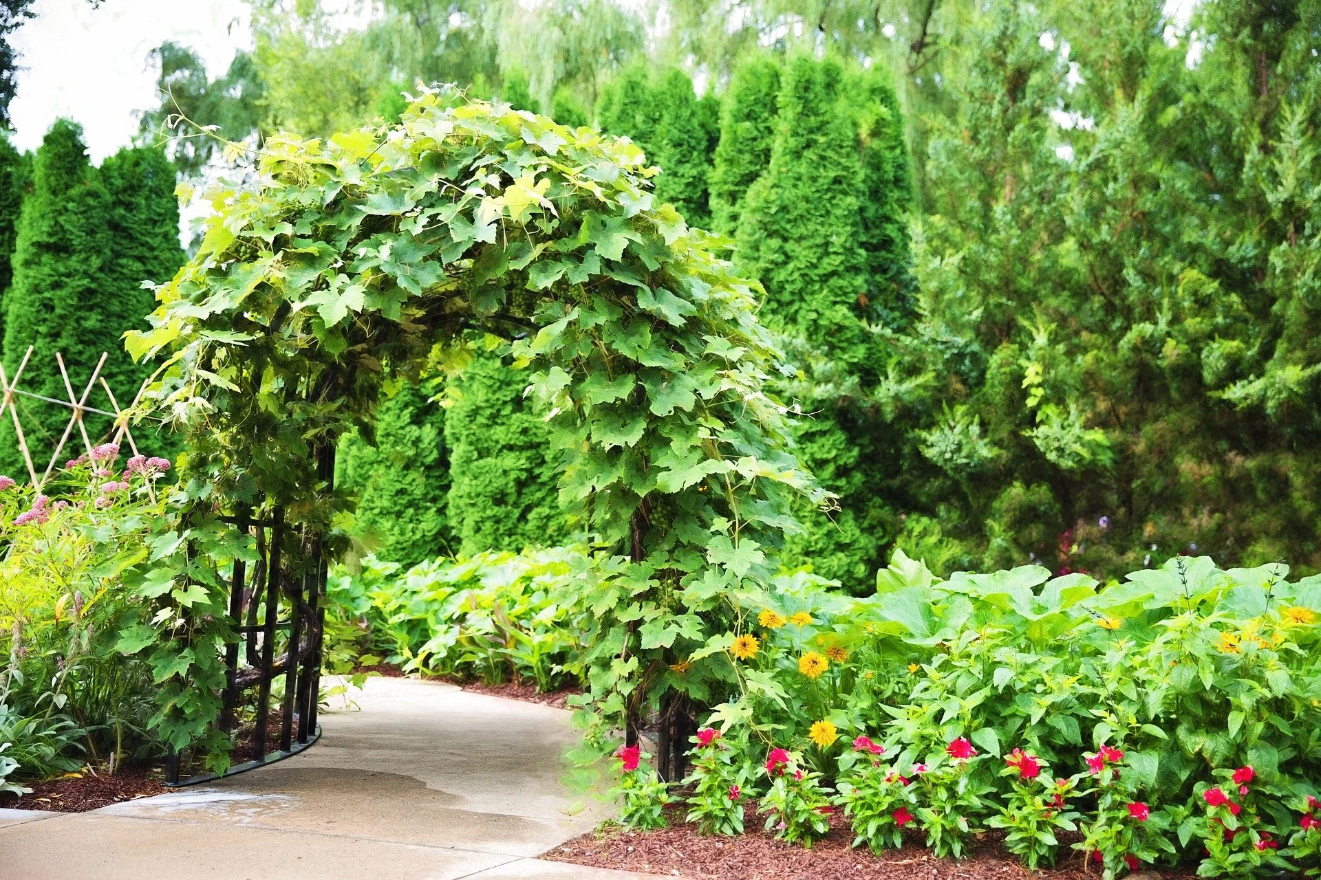 Grow Vertical: Trellises & Pergolas & Arbors
