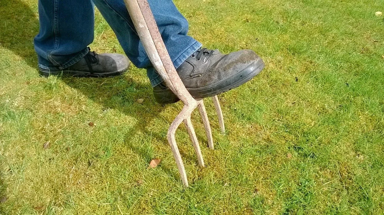 End of Summer Lawn Care