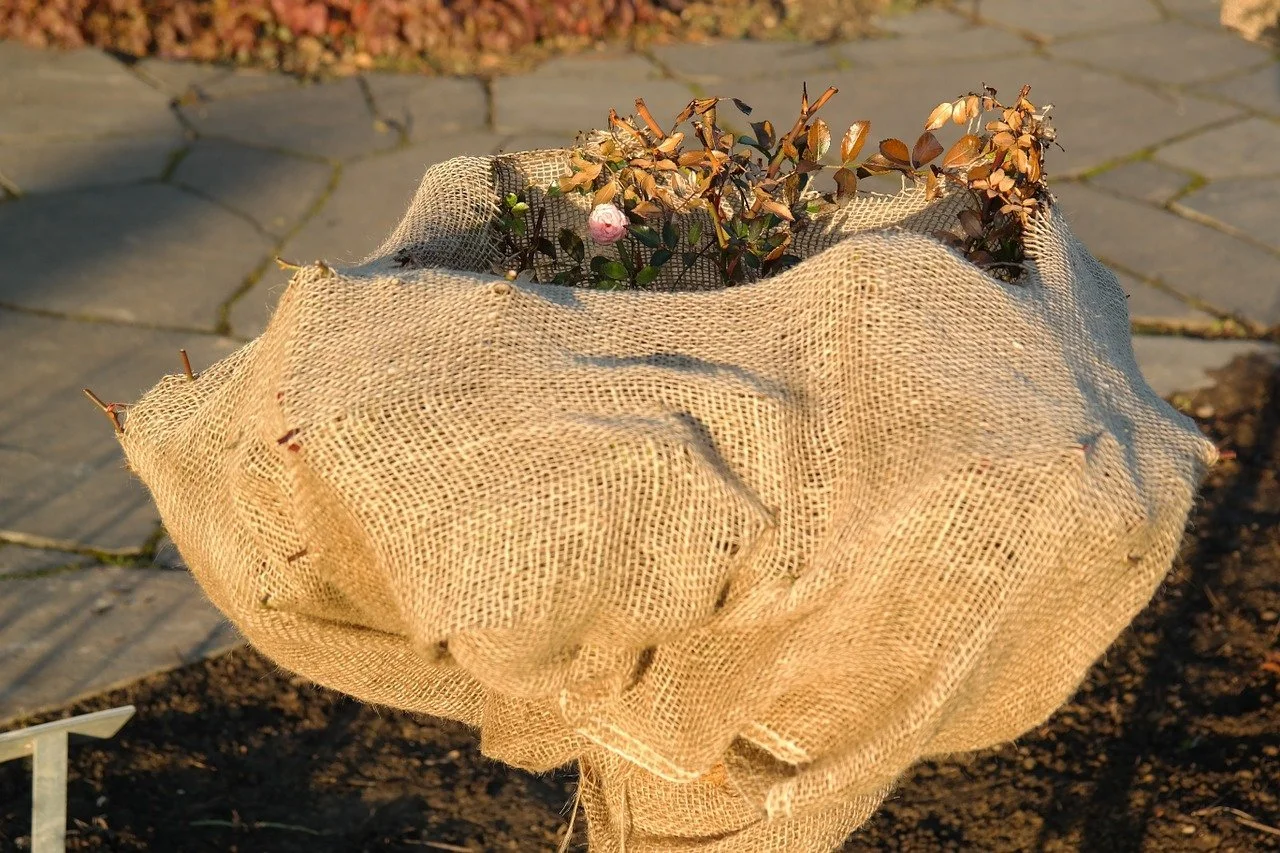 Preventing Winter Damage to Your Trees and Shrubs
