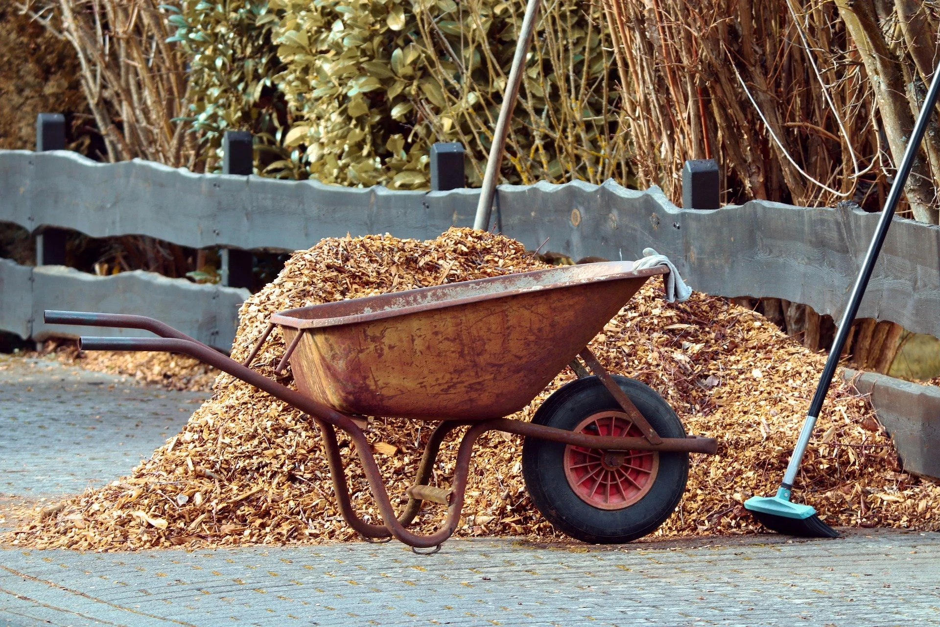 Landscape Tools Every Homeowner Should Own