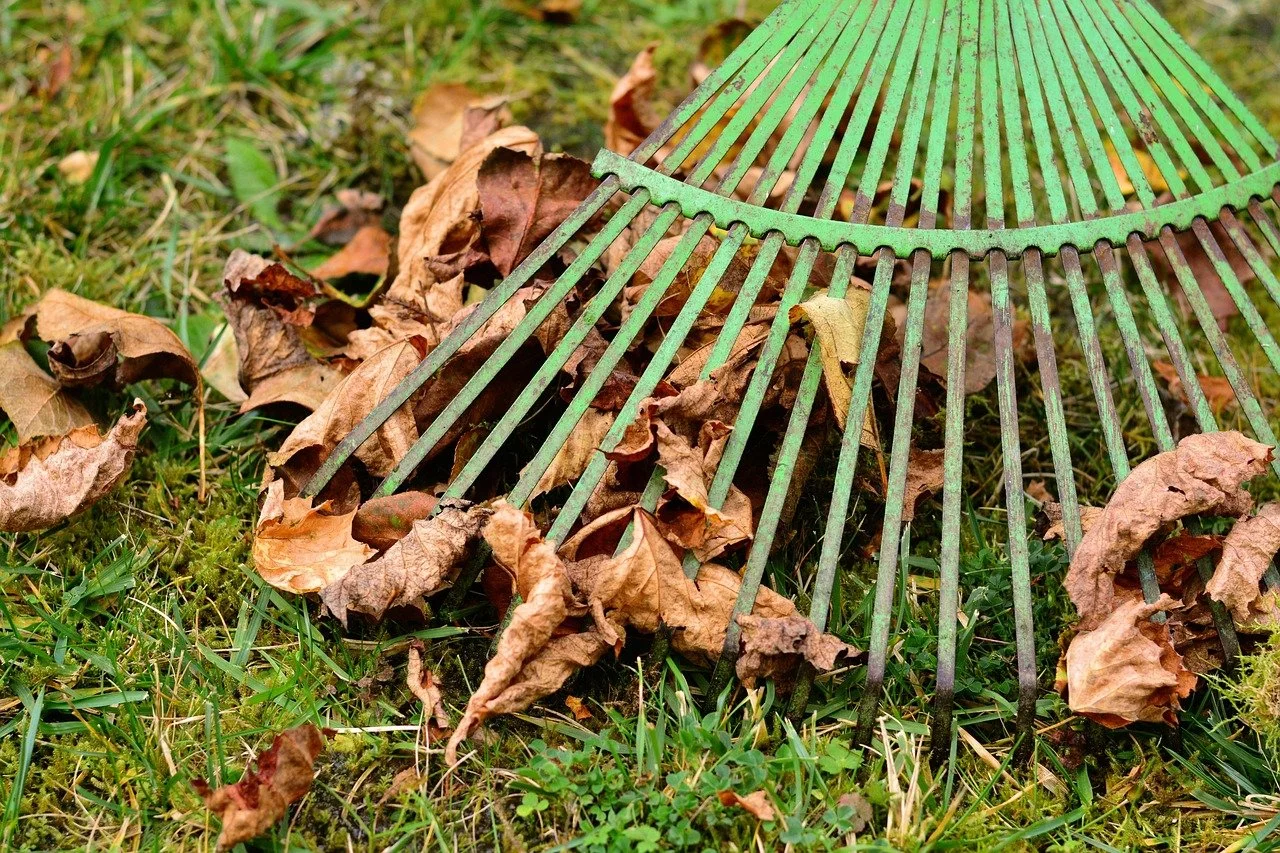 Everything You Need to Know to Ace Spring Yard and Lawn Care