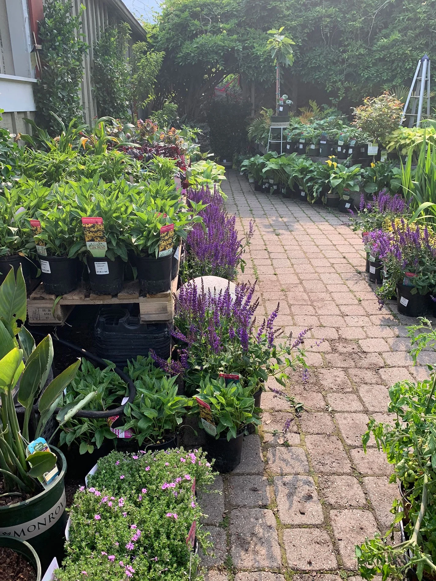 patio2.jpg