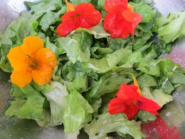 salad-1129679_640.jpg