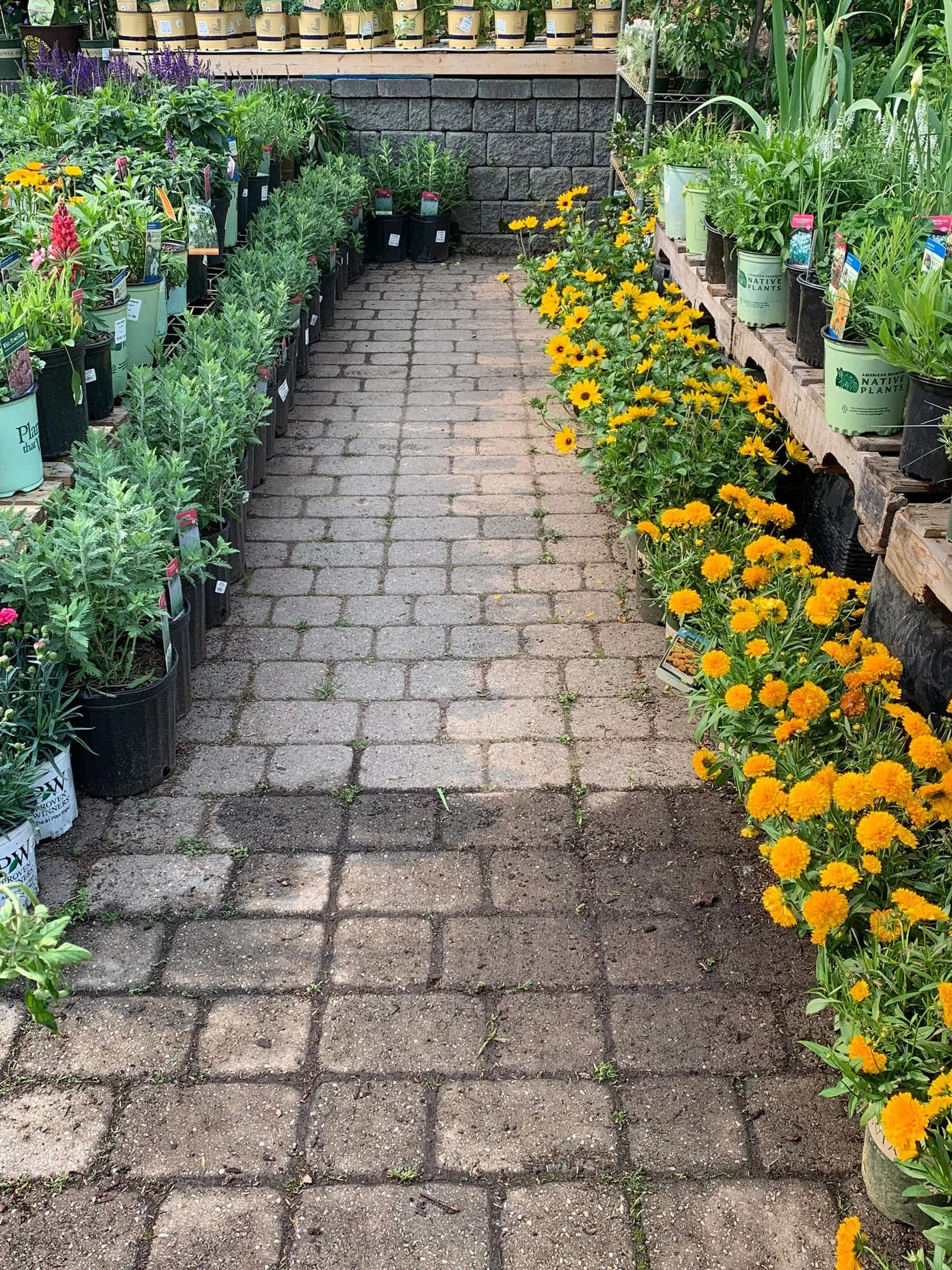 patio3.jpg
