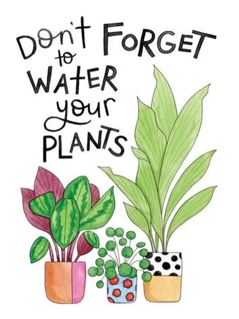 🌞 Heat Warning AGAIN This Week! 🌞

With temperatures on the rise, don&rsquo;t forget to keep yourself and your plants hydrated! 💧🌿

Early morning watering is best to help your plants beat the heat and reduce water loss from evaporation.

Stay coo
