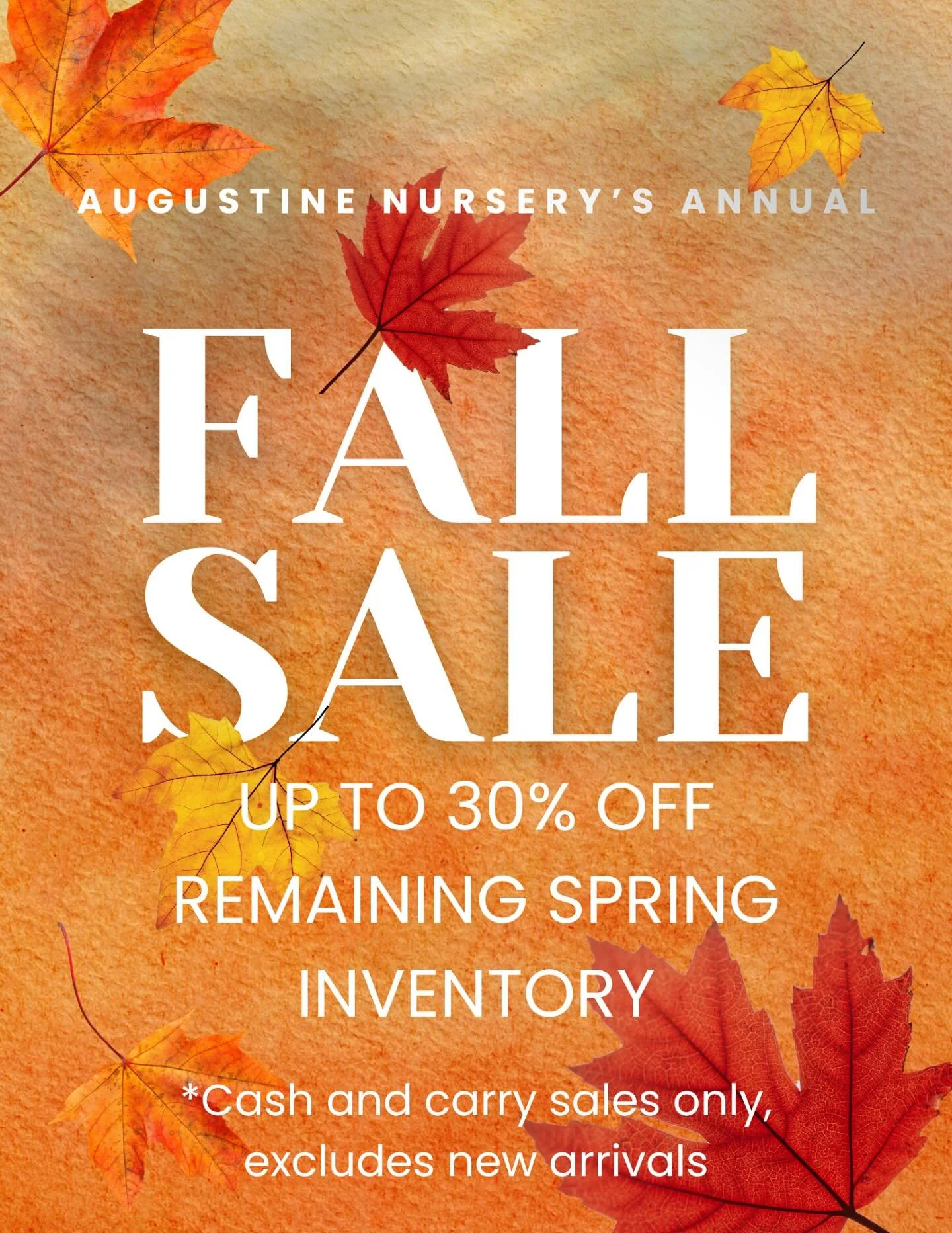 It&rsquo;s the most wonderful time of the year 🍂 (sorry, winter 😉)

Our fall sale has officially begun!!! Stop in today to save up to 30% off your favorite items from this season ☺️🌳🌾🌸🌿

#AugustineNursery #FallSale #ShopToday