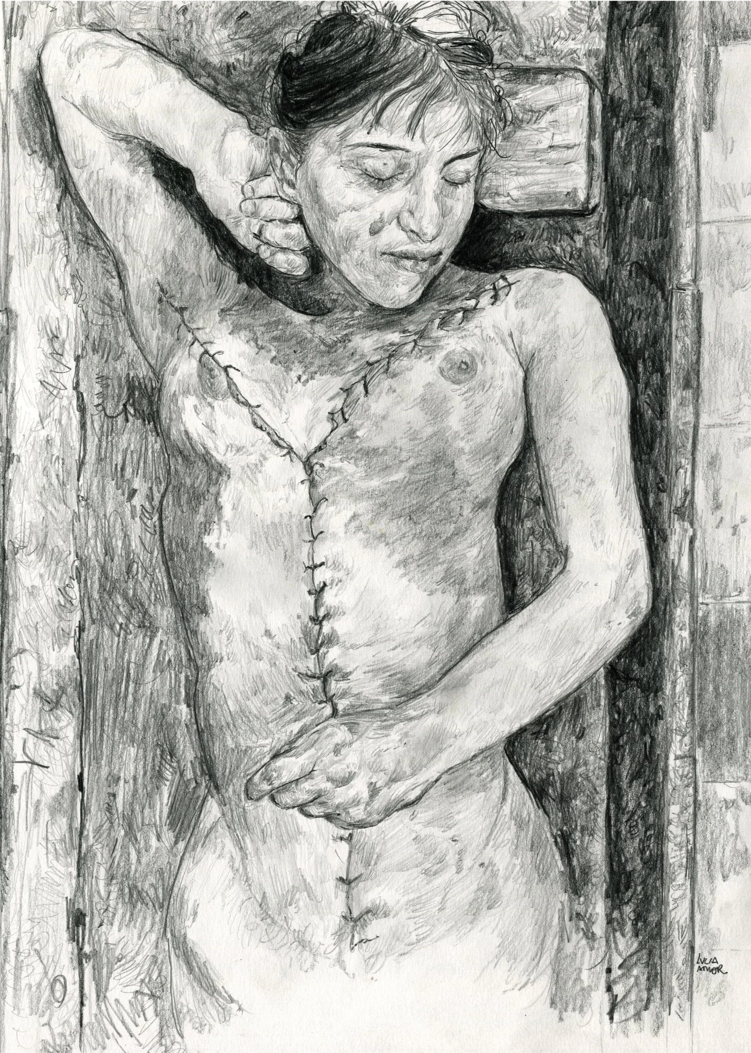 LA CHICA QUE MURIÓ EN SU SUEÑO

Lápices sobre papel Canson, 29,7 x 42 cm.