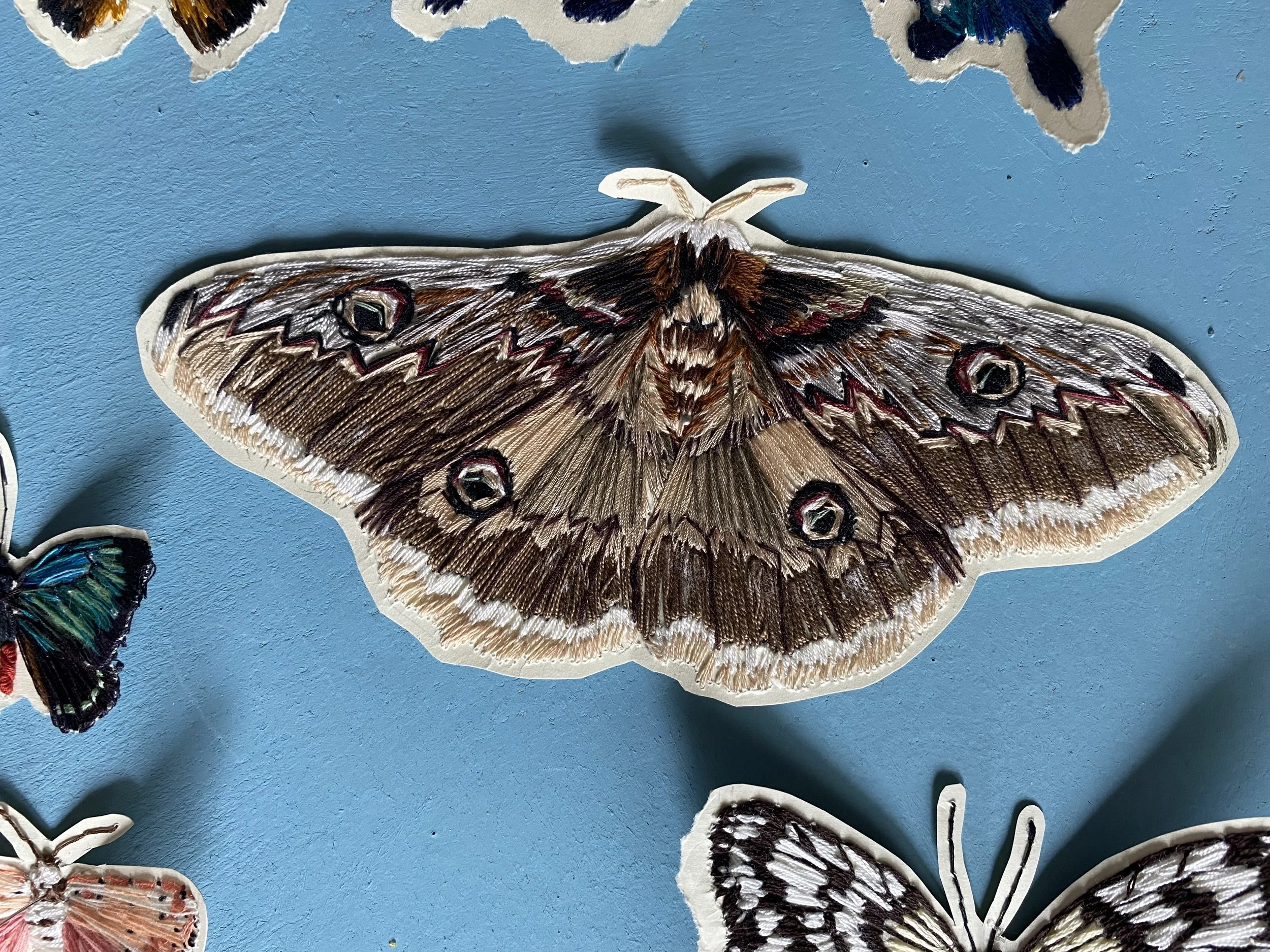 MARIPOSARIO

Mariposas bordadas sobre papel. 90 x 90 cm. 2025