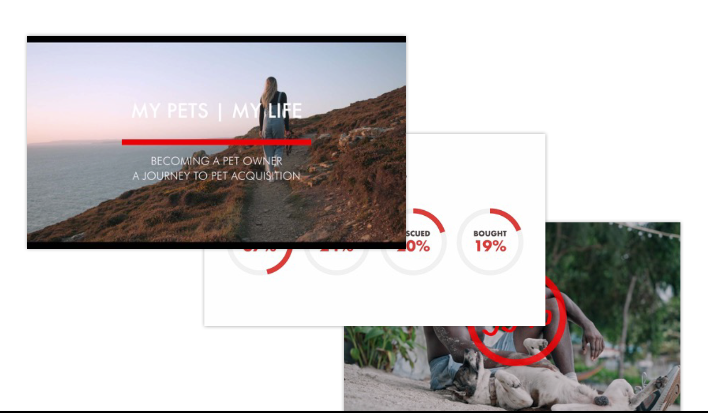 Nestle Purina examples
