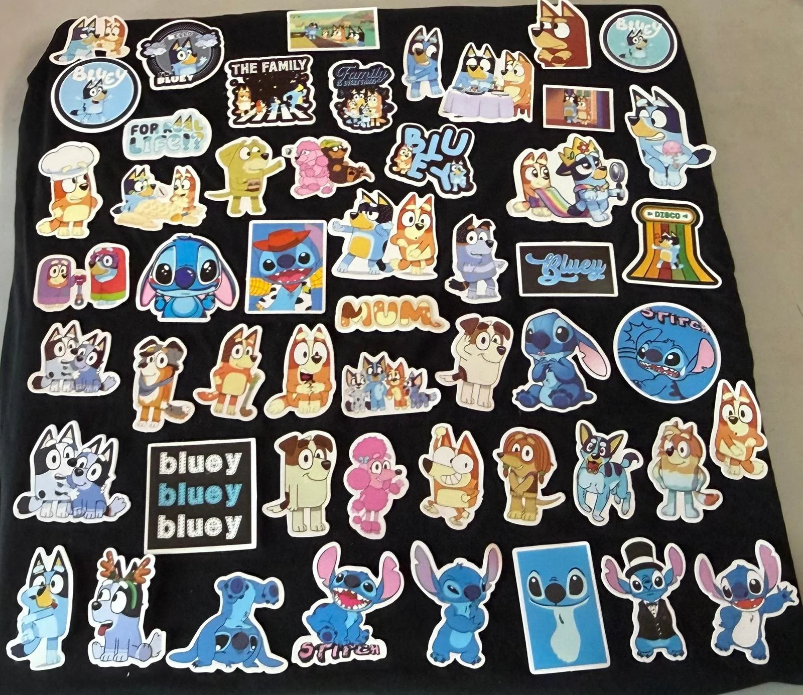 WhatsApp Image 2026-04-29 at 11.45.59 AM.jpeg