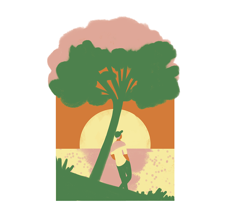 addvent6.png