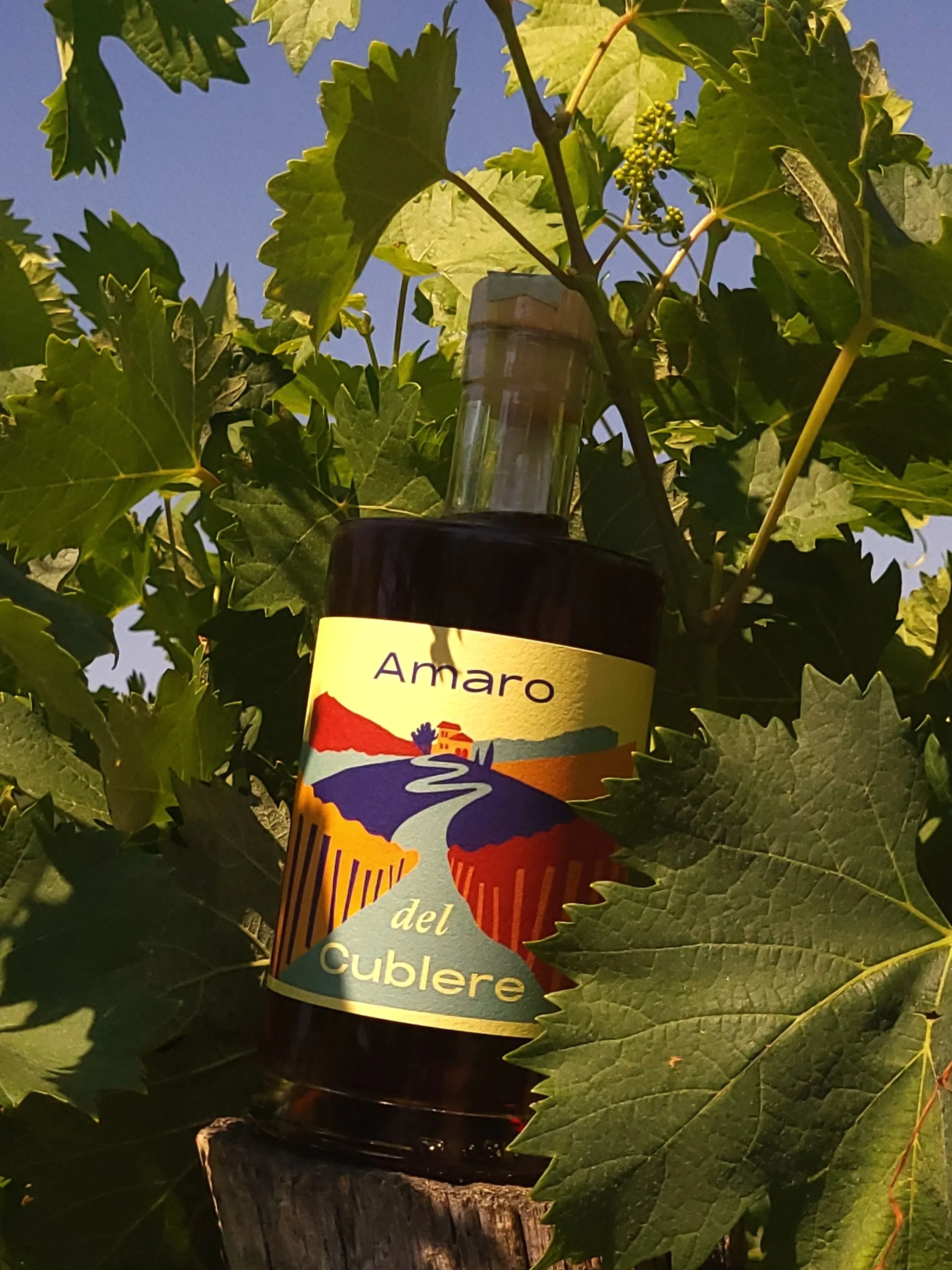 Tenuta San Giuseppe