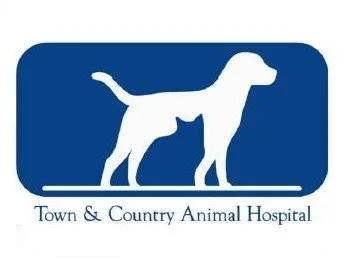 Logo of Town & Country Animal Hospital featuring a white dog silhouette on a blue background.