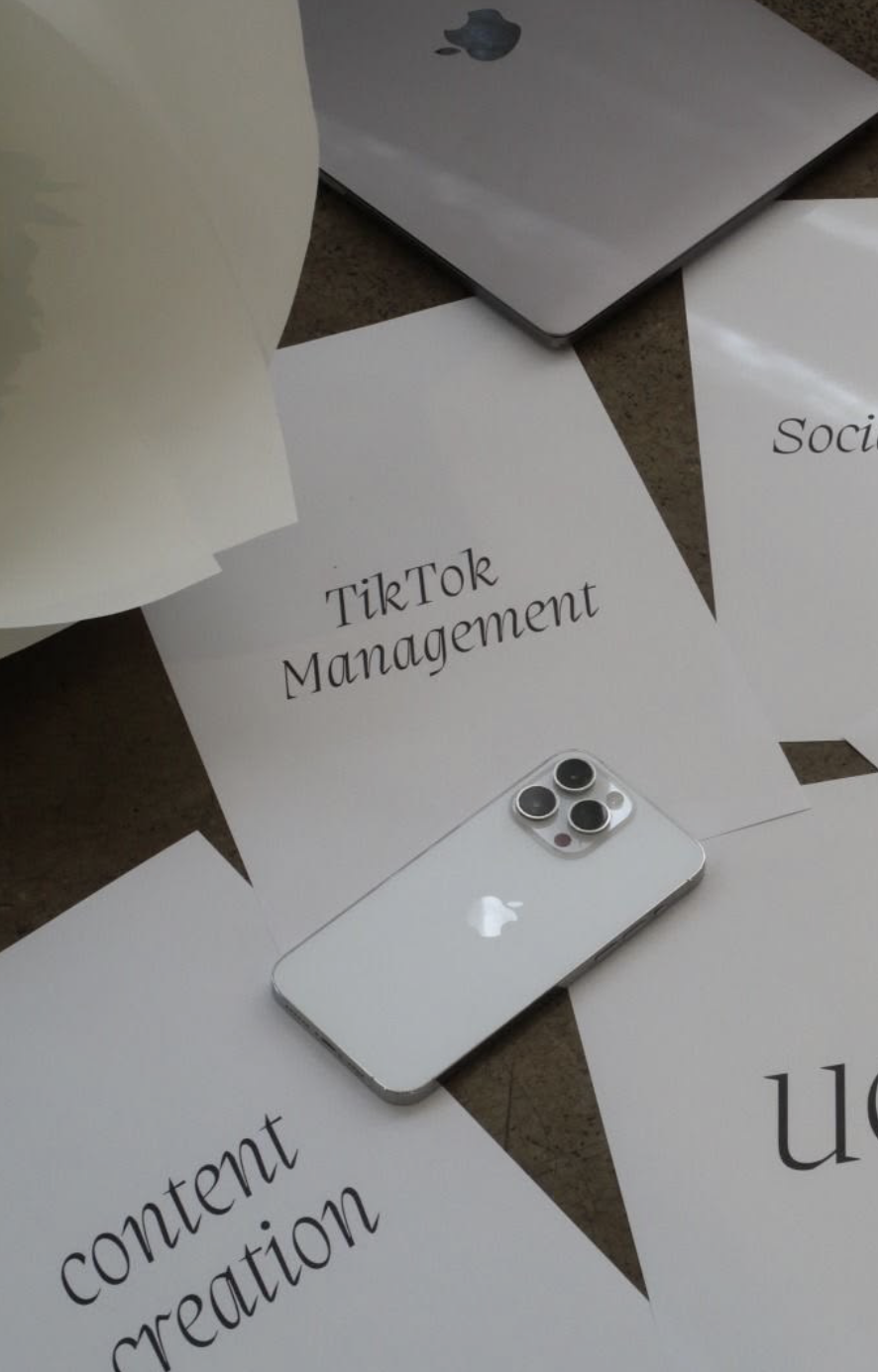 Social Media Growth Guide for Small Businesses