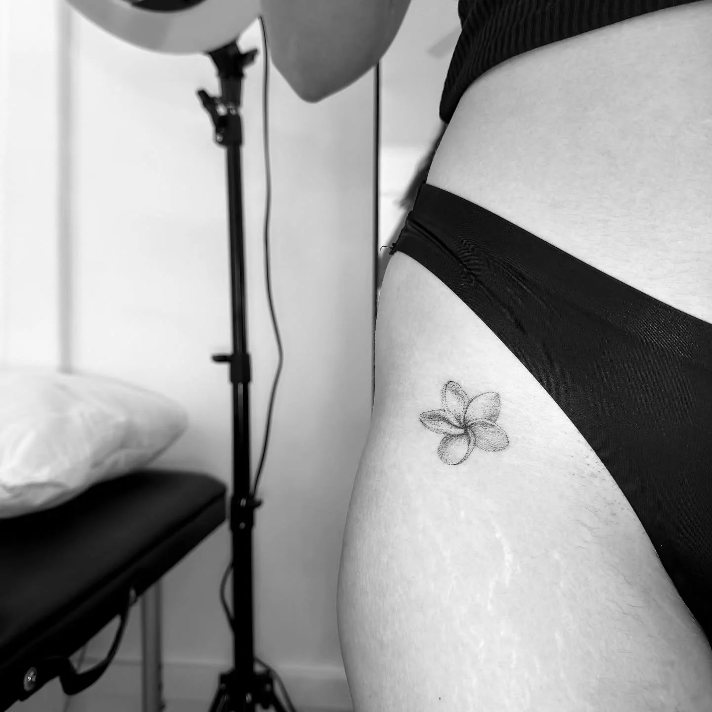 Dotwork flower by @3000g.tattoo 

DM Kayla directly / or use the link in bio to book October dates

By @3000g.tattoo @ladyfingers.studio 

#finelinetattoo #dotworktattoo #frangipanitattoo #brisbanetattoo