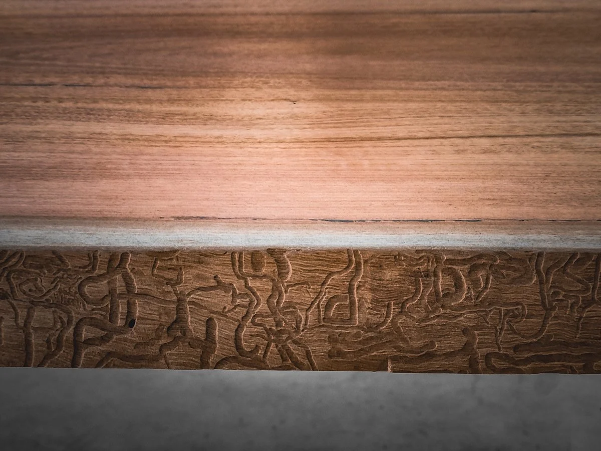 Macro detail of natural spalting and insect trail patterns preserved in the timber edge, a distinctive live edge feature - Nathan Day Design