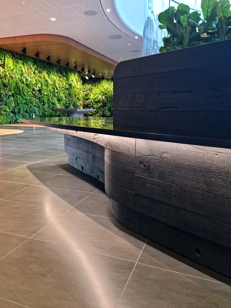 Reception Counter - One The Esplanade in scorched timber - Nathan Day Design, corner detail against living green wall