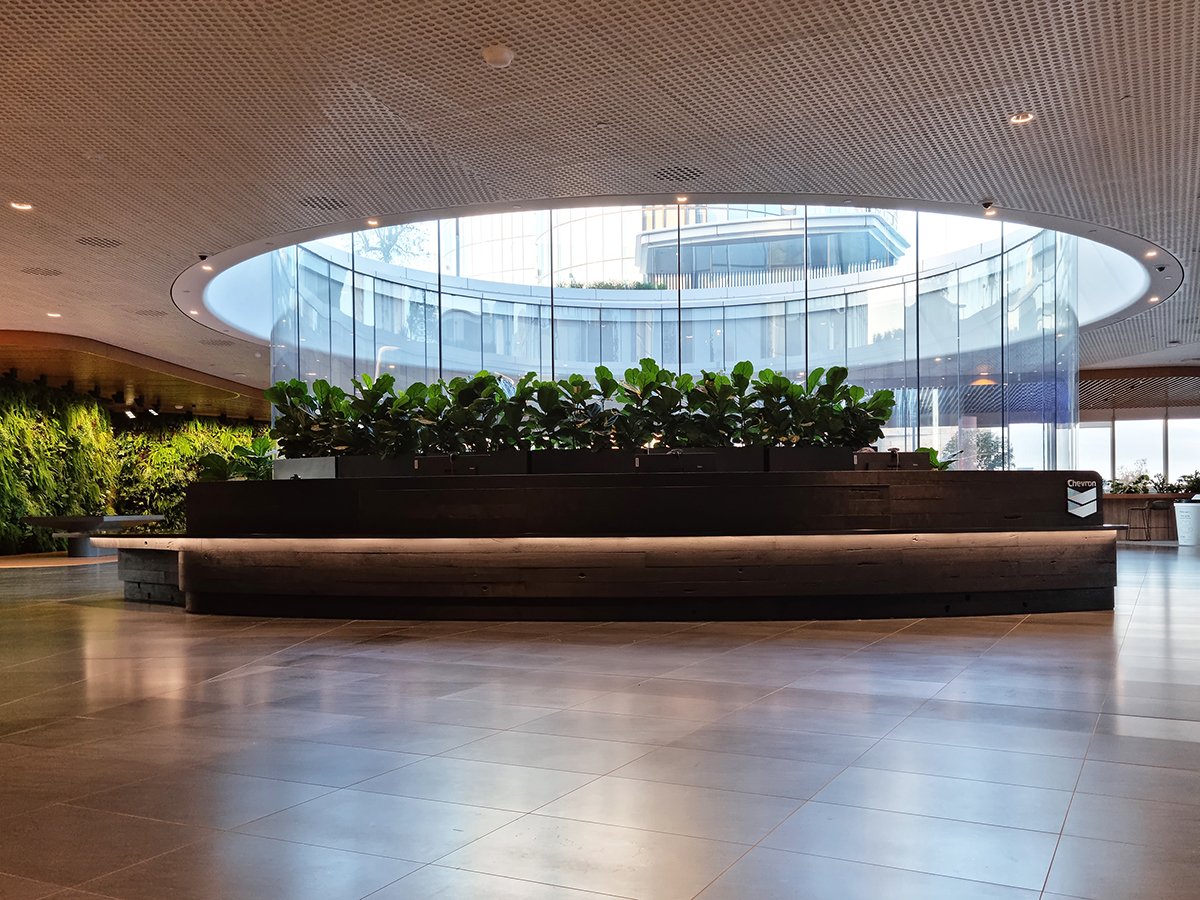 Reception Counter - One The Esplanade in scorched timber - Nathan Day Design, wide view under circular skylight atrium with greenery