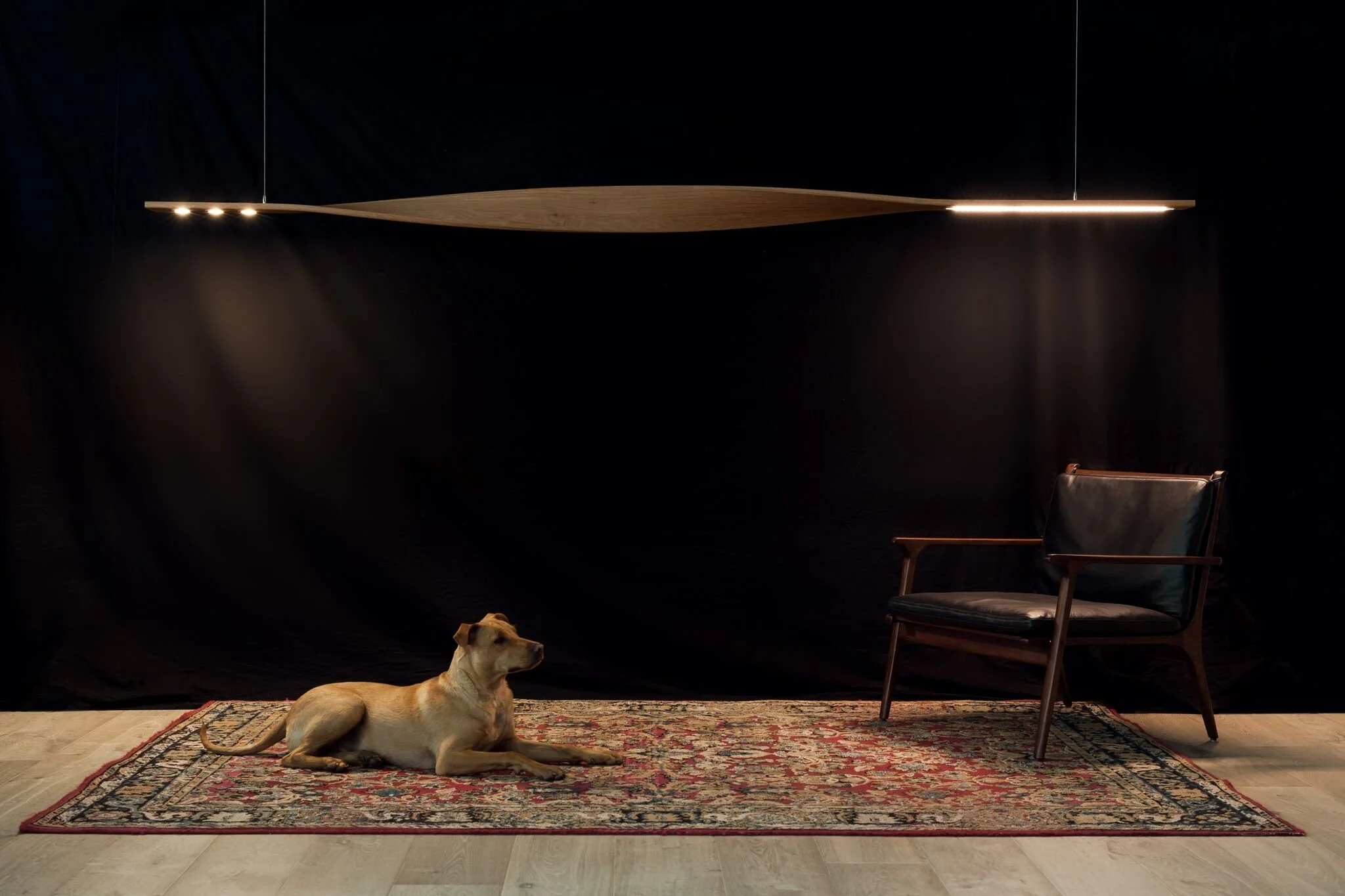 Ernest Pendant Light in Ash, elongated blade-form design - Nathan Day Design, full studio shot with dog and armchair