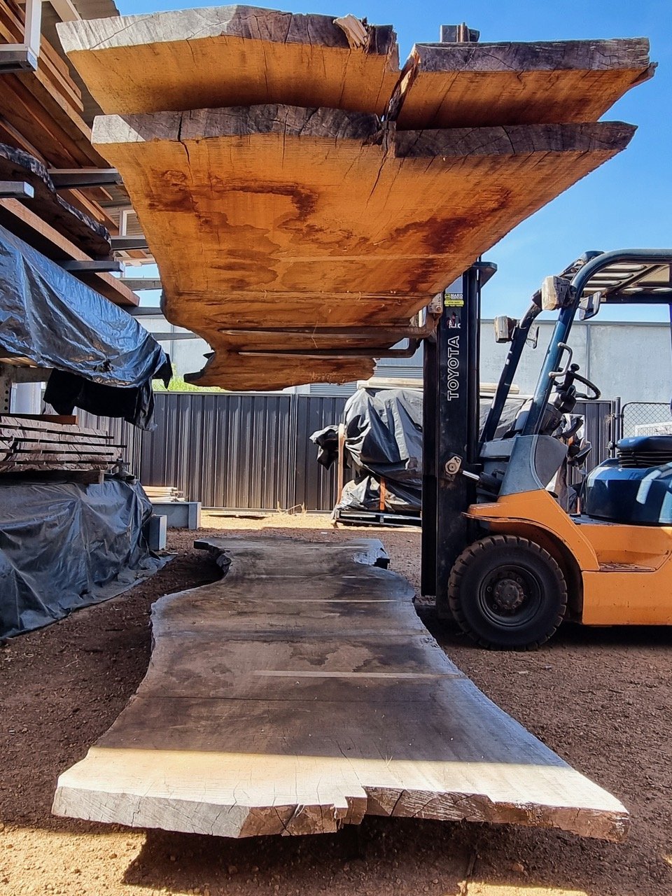 Forklift lifting a raw timber slab at the timber yard, showing the natural undulating live edge grain - sourced for Nathan Day Design furniture