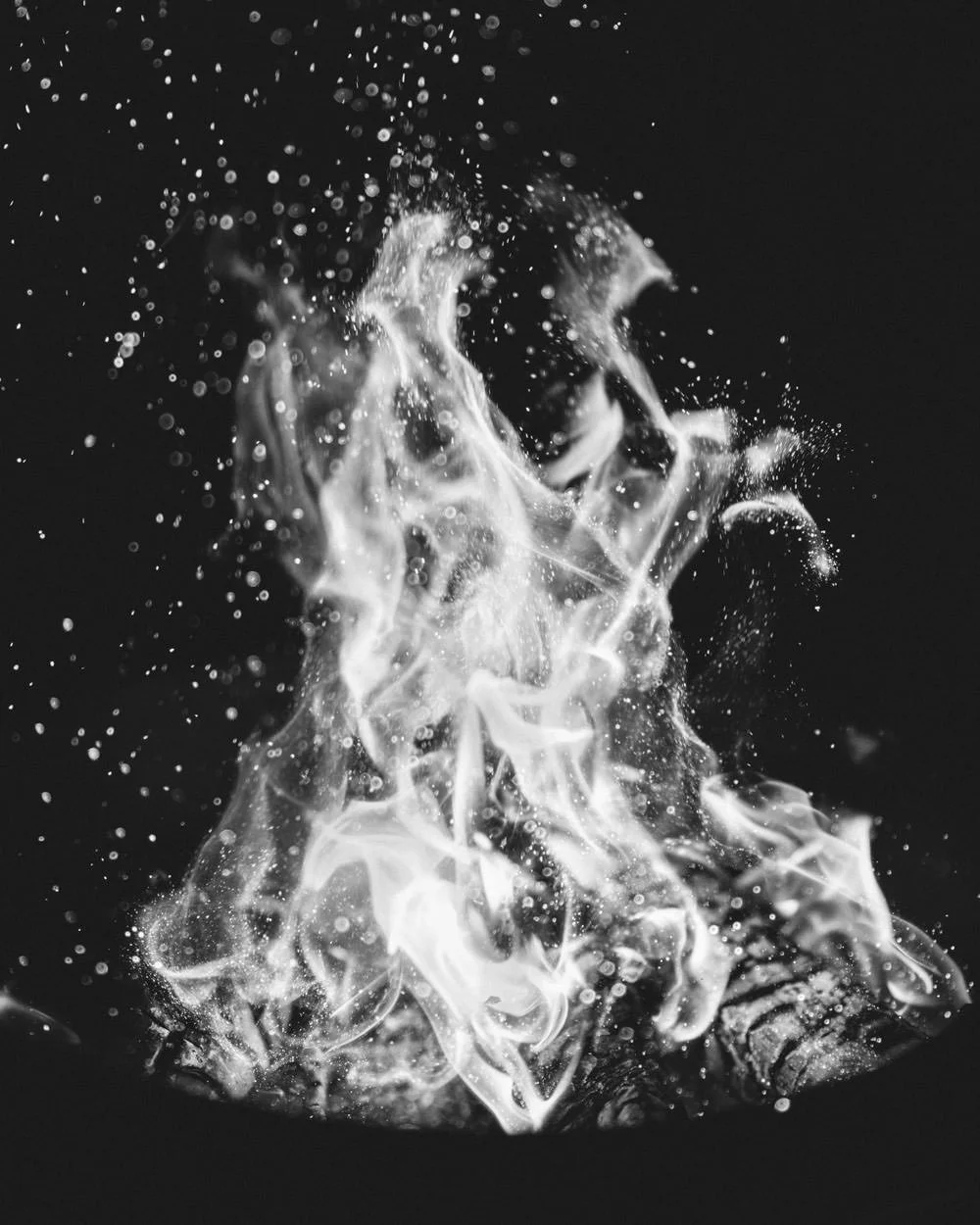 elements-2.jpg