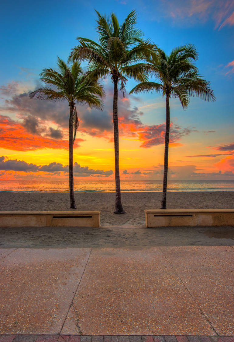¿Estás pensando en comprar en South Florida en 2026? Esto es lo que debes saber