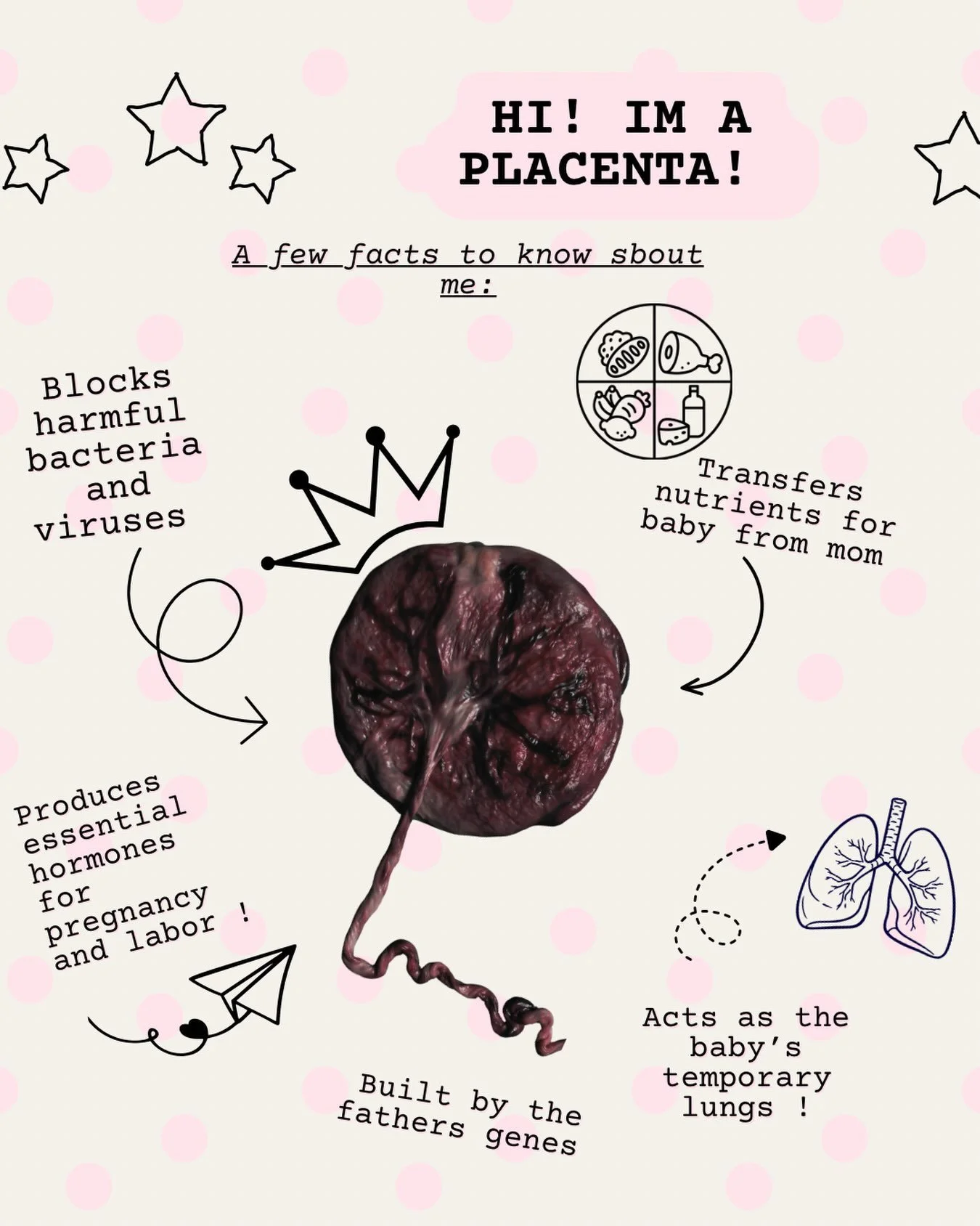 The placenta !

This temporary organ that we GROW is the most important during pregnancy! And also in my opinion the coolest ever because we can grow it multiple times!! It provides all the nutrients and oxygen the baby needs to grow. 

It helps regu